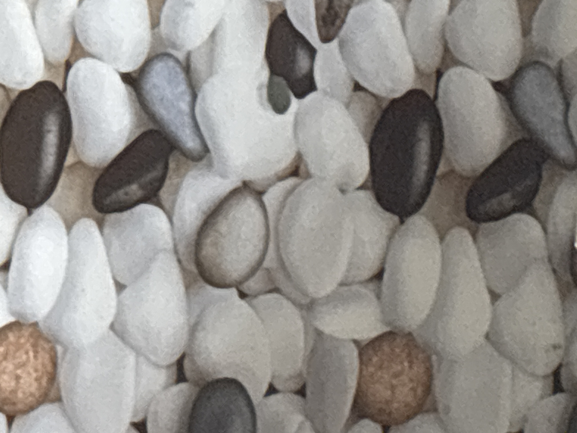 The image shows a close-up, top-down view of a collection of smooth, rounded pebbles. The pebbles vary in size and color, with dominant shades of white, gray, and dark brown or black. There are also a few pebbles with a light brown or tan hue. The pebbles are densely packed together, creating a textured surface. The lighting suggests an indoor or shaded outdoor environment, as there are no strong highlights or shadows indicating direct sunlight. The scene appears to be a static arrangement of these stones. There are no discernible people, animals, or any signs of activity. The background is entirely composed of these pebbles.