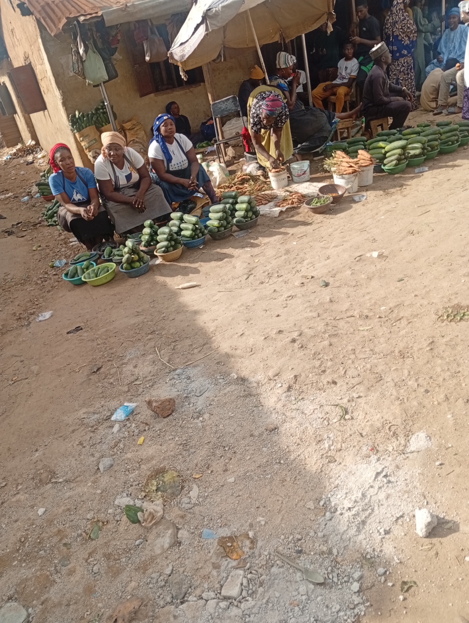 This image depicts a bustling outdoor market scene in Rafin Par, Nigeria, with a particular focus on the sale of fresh produce. In the foreground, three women are seated, engaged in selling and displaying various vegetables. The woman on the left wears a blue shirt and a red headscarf, with a pile of cucumbers to her left. The middle woman is dressed in a white shirt and a tan headscarf, seated next to a collection of cucumbers. The woman on the right wears a blue headscarf and a white shirt, also with a display of cucumbers. Surrounding them are numerous baskets and piles of cucumbers, some in green plastic bowls and others in larger quantities on the ground. Carrots and other root vegetables are also visible, piled in buckets and on the ground to the right of the seated women. In the background, a rudimentary stall with a corrugated metal roof provides shelter, with additional produce and various items hanging from it. Other individuals are present in the background, some appearing to be customers or vendors, adding to the lively atmosphere of the market. The ground is composed of dusty, sandy earth, with scattered debris and rocks.