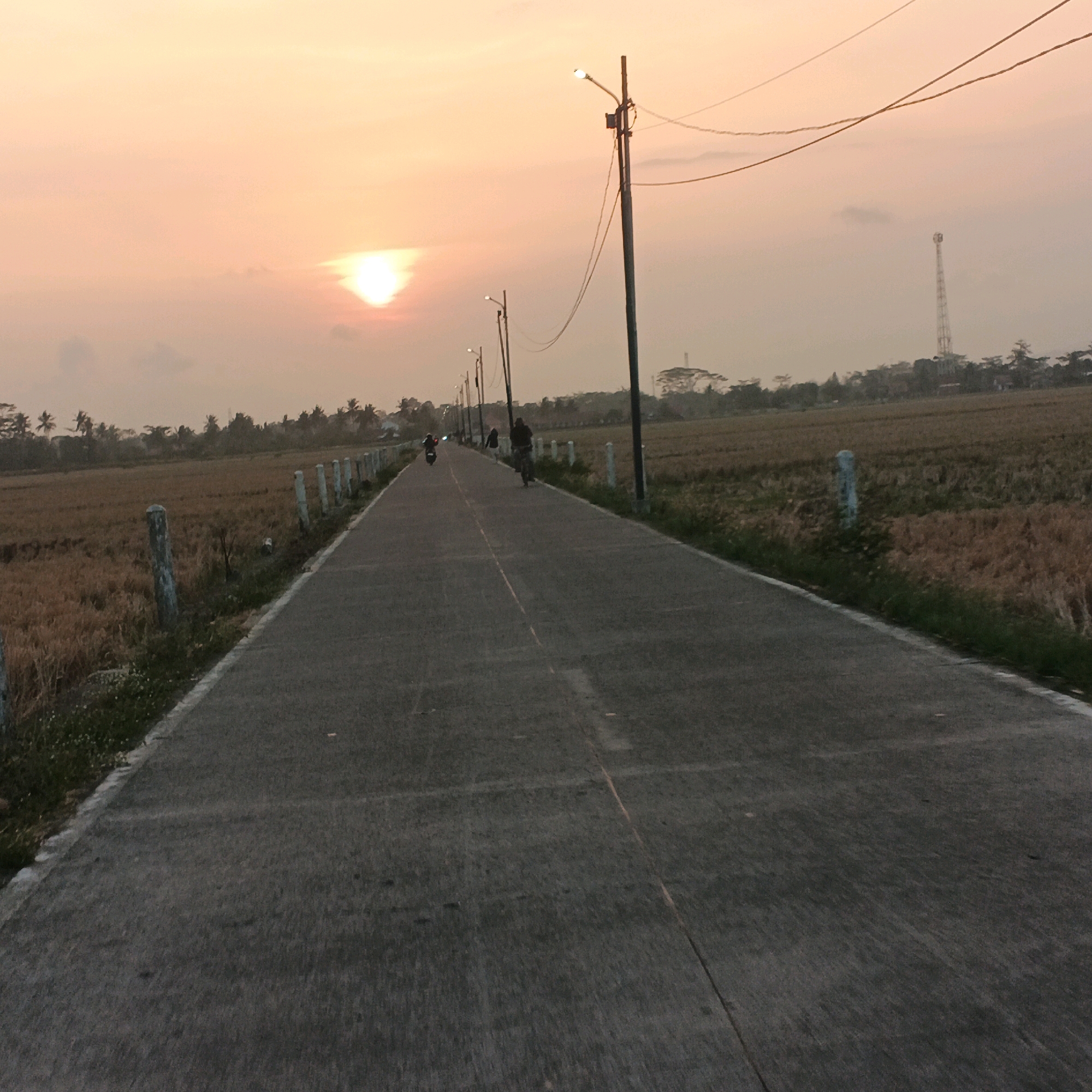 The image depicts a rural road in Kalikudi, Indonesia, during sunset. The sun is low in the sky, casting a warm, orange glow. The road is paved and lined with posts on the left side, separating it from a field of dry grass or crops. Several lampposts are visible along the road, with wires stretching between them. In the distance, a cell tower stands tall against the horizon. There are a few people on the road; one person is riding a bicycle, and another is on a motorcycle. The overall scene suggests a peaceful, late afternoon in a rural Indonesian setting.