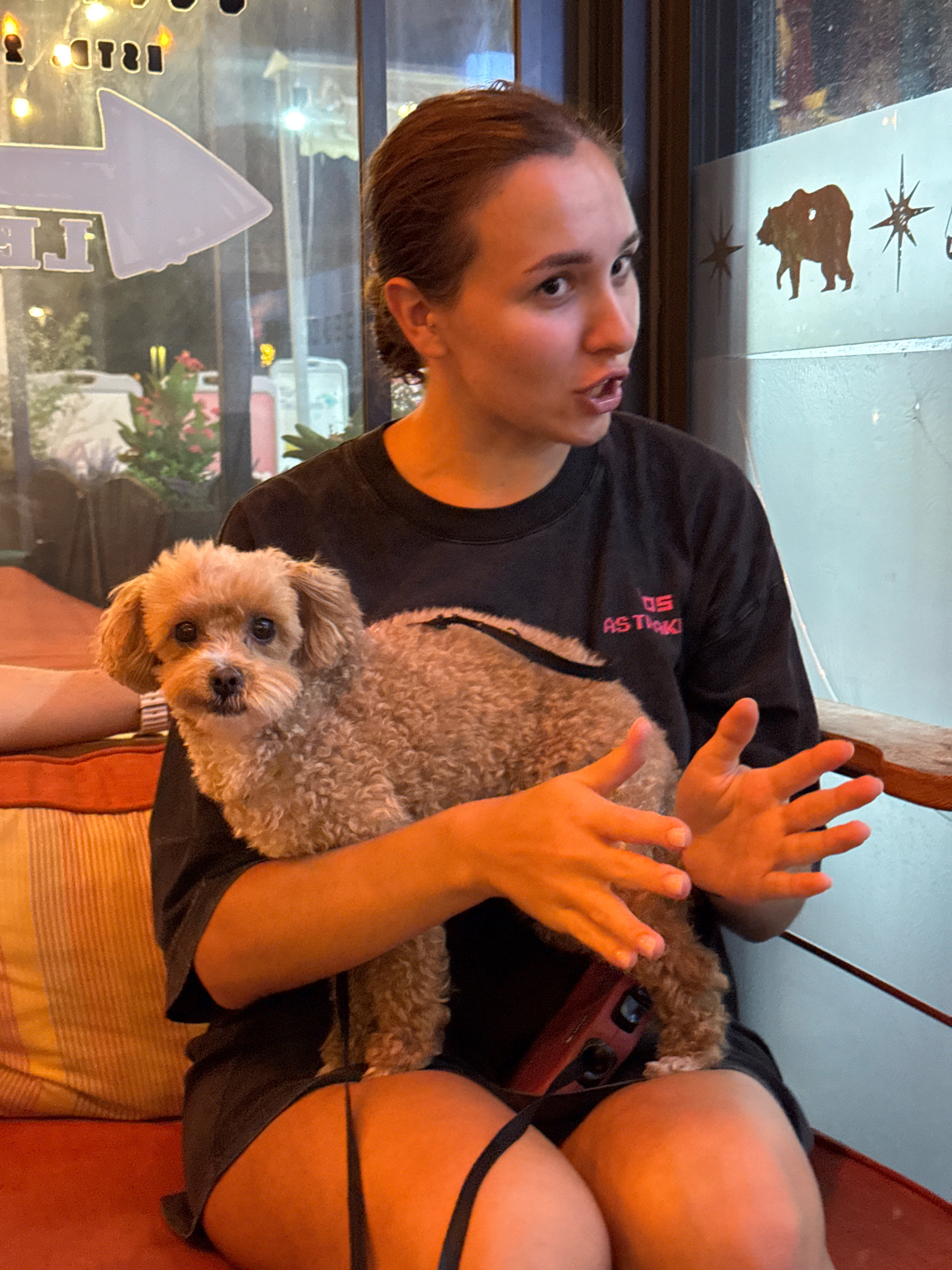 A young woman with her hair pulled back is holding a small, light brown dog in her arms. She is wearing a black t-shirt with pink lettering. The dog is facing the camera with its mouth slightly open. The woman's hands are visible, appearing to be gesturing. They are seated on a red couch next to a striped cushion. In the background, there is a window with decals of a bear and starbursts, as well as an arrow pointing to the left. The lighting suggests an indoor setting, possibly a cafe or restaurant, with some blurred lights visible through the window. The scene appears to be in the city of Konyaaltı, Turkey.