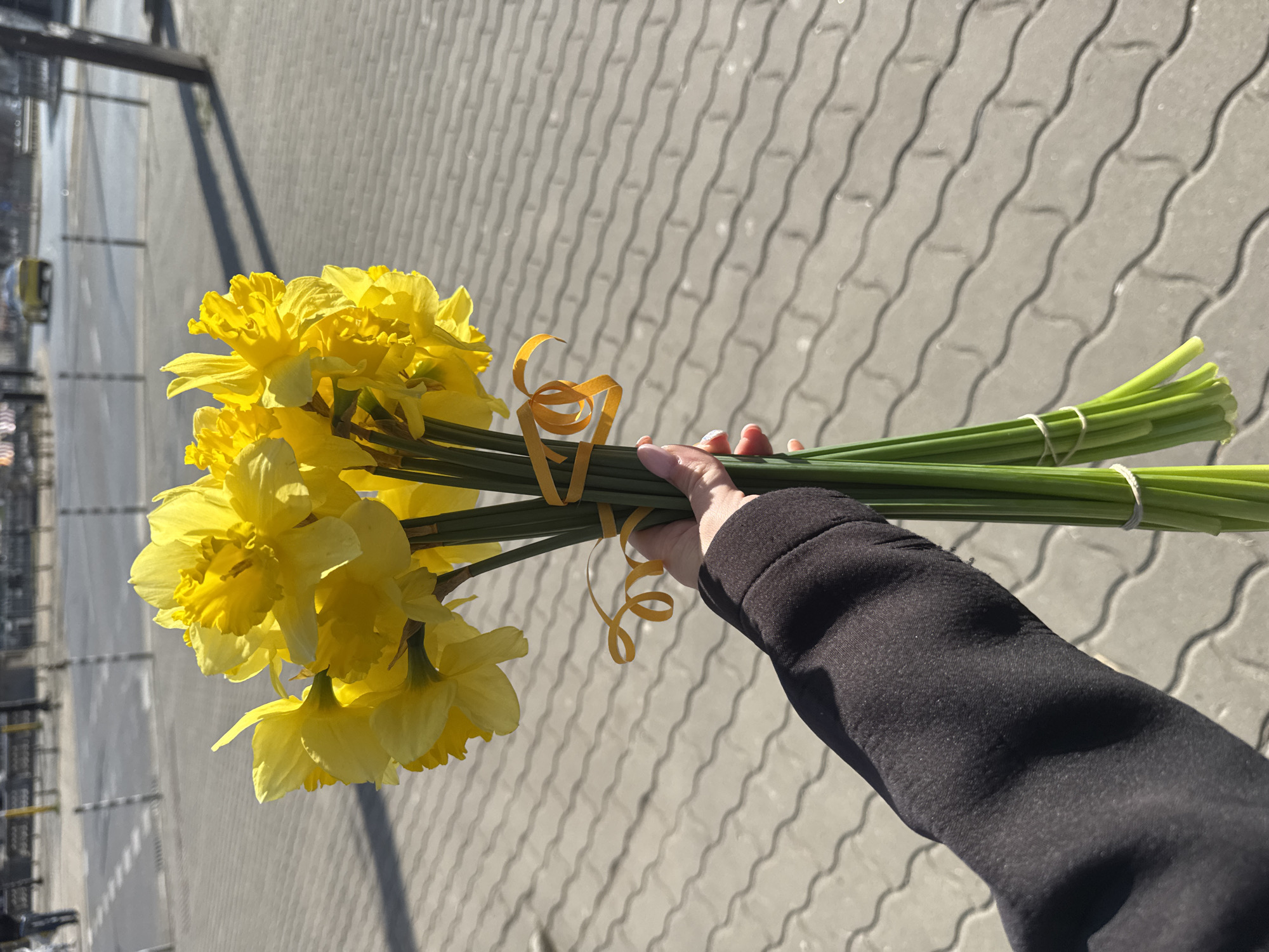 A first-person perspective shows a hand holding a bouquet of bright yellow daffodils on a sunny day. The flowers are tied with a yellow ribbon and rubber bands around the green stems. The person's sleeve is visible, wearing a black long-sleeved shirt or jacket. The background is a paved walkway with a distinctive wavy pattern, common in pedestrian areas. Reflections of buildings and infrastructure can be seen in the distance, suggesting an urban setting. Based on the architecture and the paving style, the location is likely in the city of Sofia, Bulgaria.