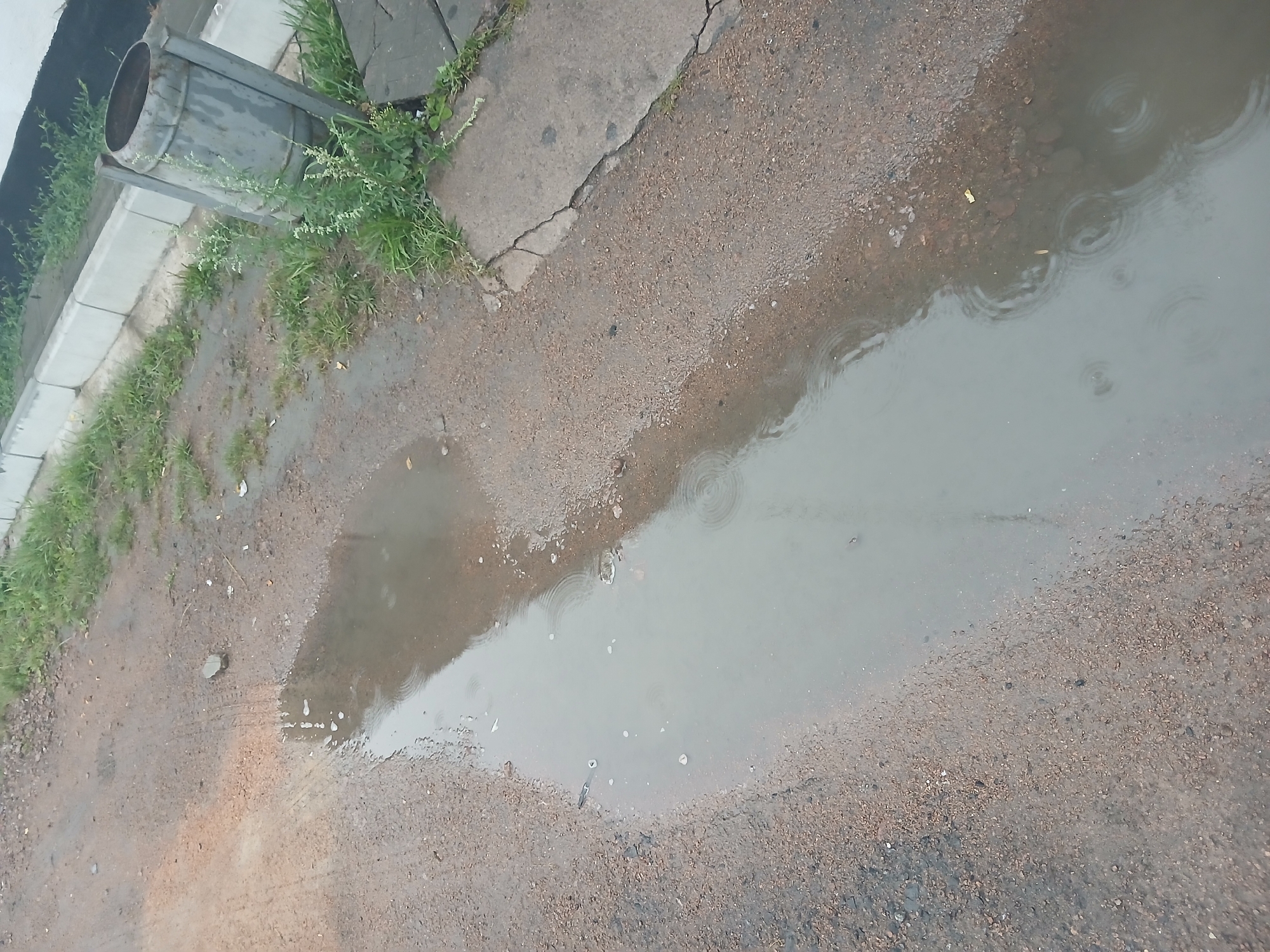The image shows a puddle of water on a dirt and gravel path next to a concrete curb and some grass. A metal trash can stands on the right side of the image, near the curb. The scene appears to be outdoors, possibly on a street or sidewalk in Makinsk, Kazakhstan, given the context provided. There are no people or animals visible in the image. The water in the puddle shows ripples, indicating that it may be raining or recently rained. The overall condition of the area appears somewhat unkempt, with debris and weeds visible.