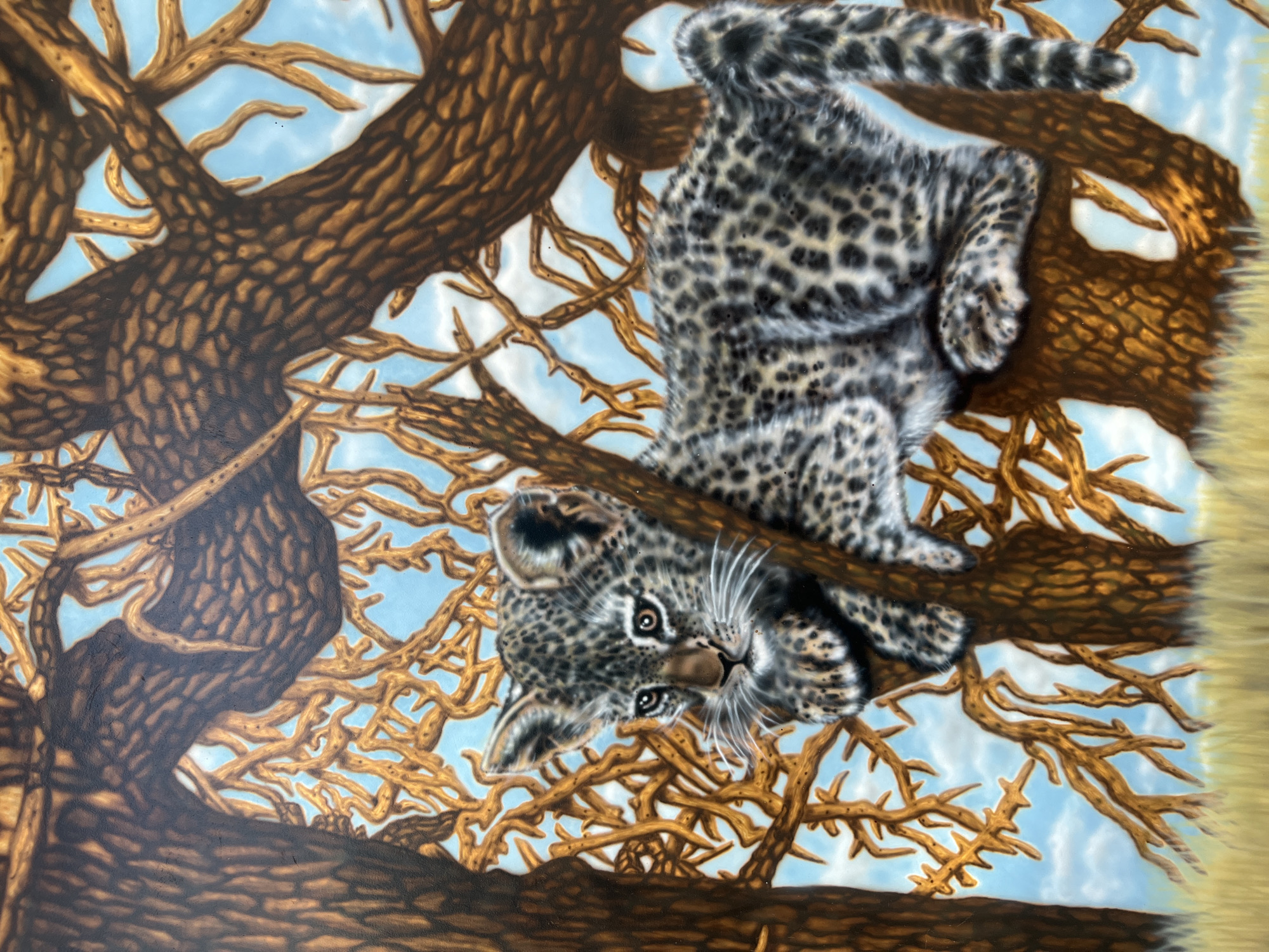A young leopard cub with spotted fur rests on the branches of a large tree. The cub is positioned on the right side of the frame, with its body extending horizontally across the image. Its head is turned towards the left, and its eyes are open and looking forward. The tree has thick, textured brown branches, and a lighter brown, more intricate network of thinner branches extends behind the cub. The background is a blue sky with scattered white clouds. In the foreground, there is a patch of dry, yellowish grass. There are no people or any recognizable landmarks of the city of Bender, Moldova.