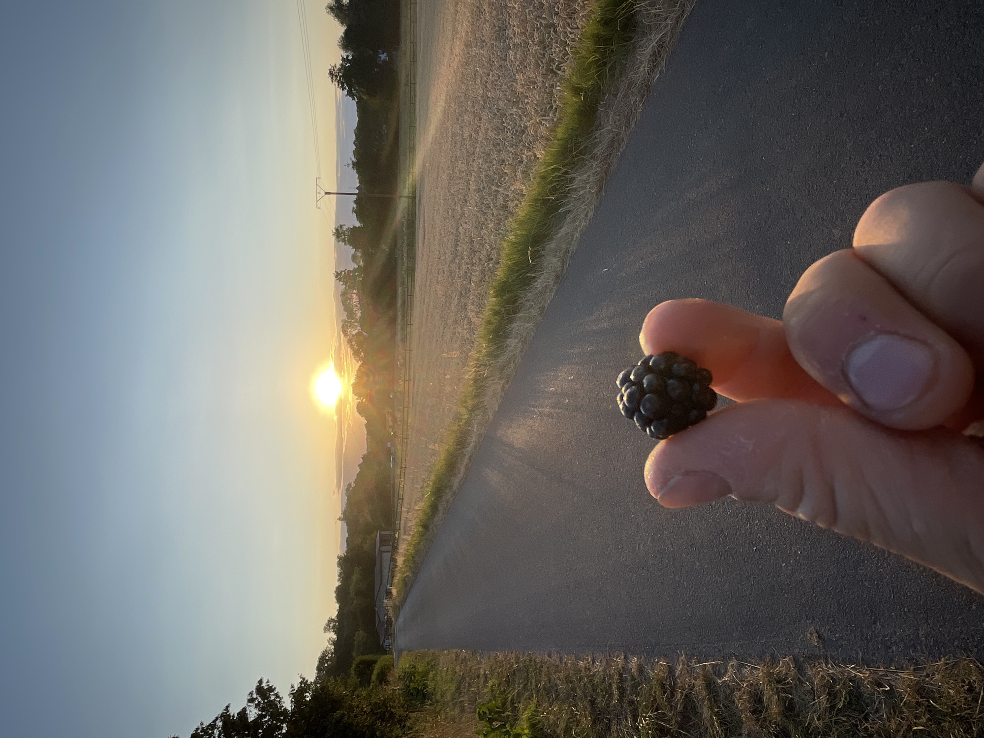 A person's hand holds a single blackberry in the foreground. The hand is positioned to the right of center, with the blackberry resting between the thumb and index finger. The backdrop is a paved road stretching into the distance, flanked by dry grass and a field of wheat. In the far distance, a sunset paints the sky with warm hues of orange and yellow, casting long shadows. A few trees and buildings are visible on the horizon. A single power pole stands to the right of the road. The scene is set in Rückershausen, Germany, under a clear sky at dusk.