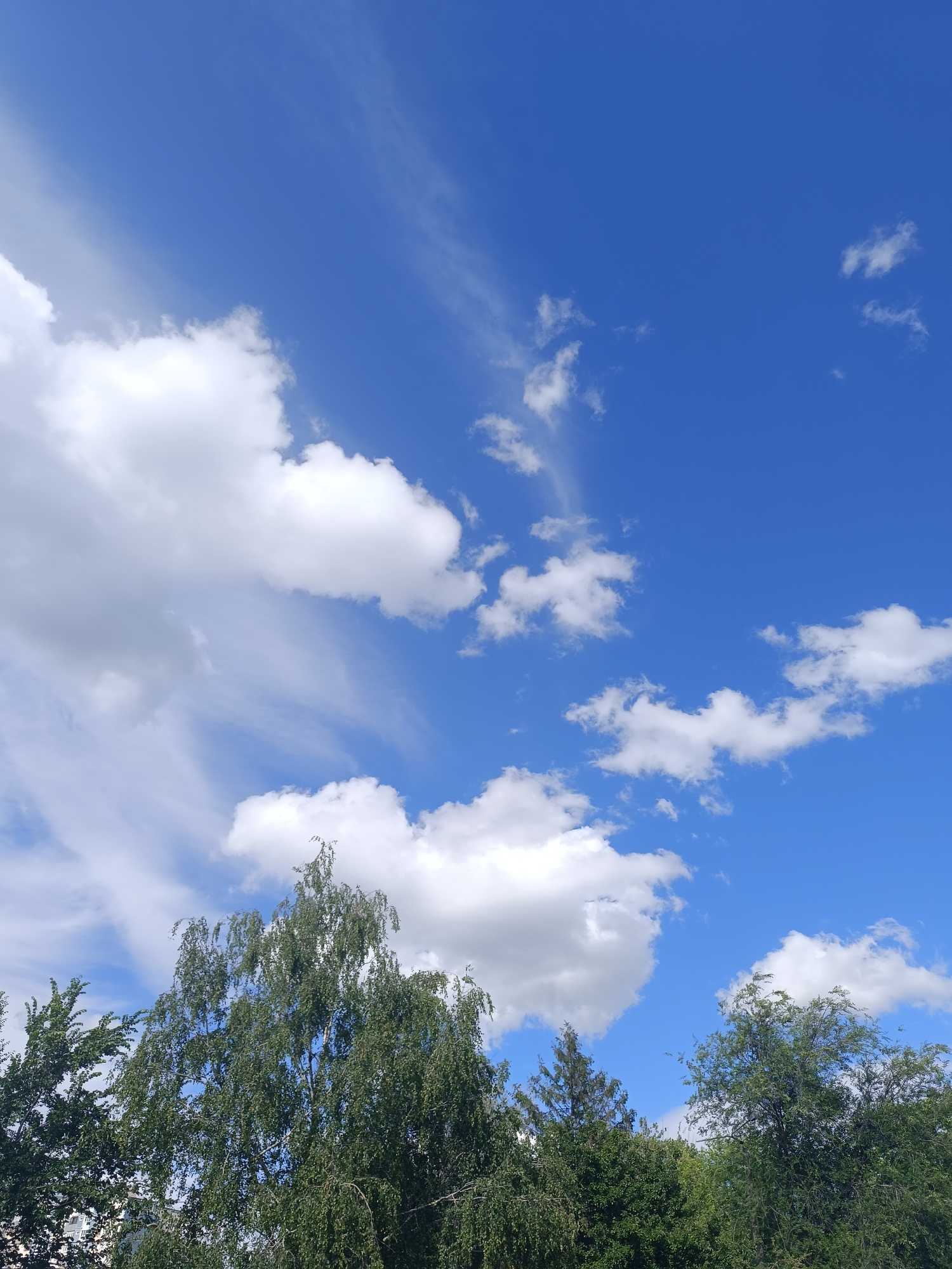 The image shows a clear blue sky with scattered white clouds. The lower portion of the image is filled with the tops of several green trees. The trees appear to be deciduous, with full foliage. The lighting suggests it is daytime. The context provided is that this image was taken in the city of Kryvyi Rih, Ukraine. There are no people or discernable human activity depicted in the image. The scene is natural and appears to be an outdoor environment.