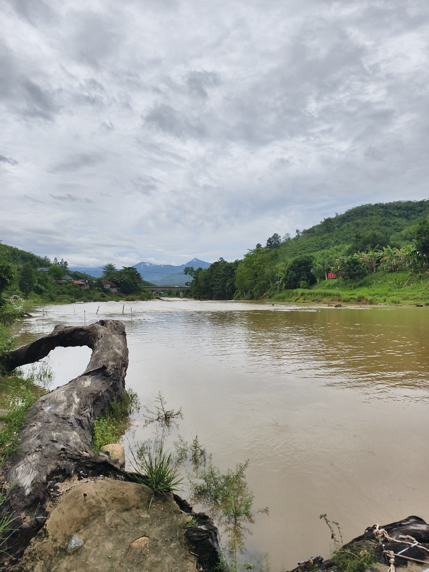 The image depicts a muddy river flowing through a landscape of green hills and trees under a cloudy sky. In the foreground, a large, decaying log lies on the bank. Further back, a bridge spans the river, and in the distance, mountain peaks are visible. The location is Unknown, Unknown.