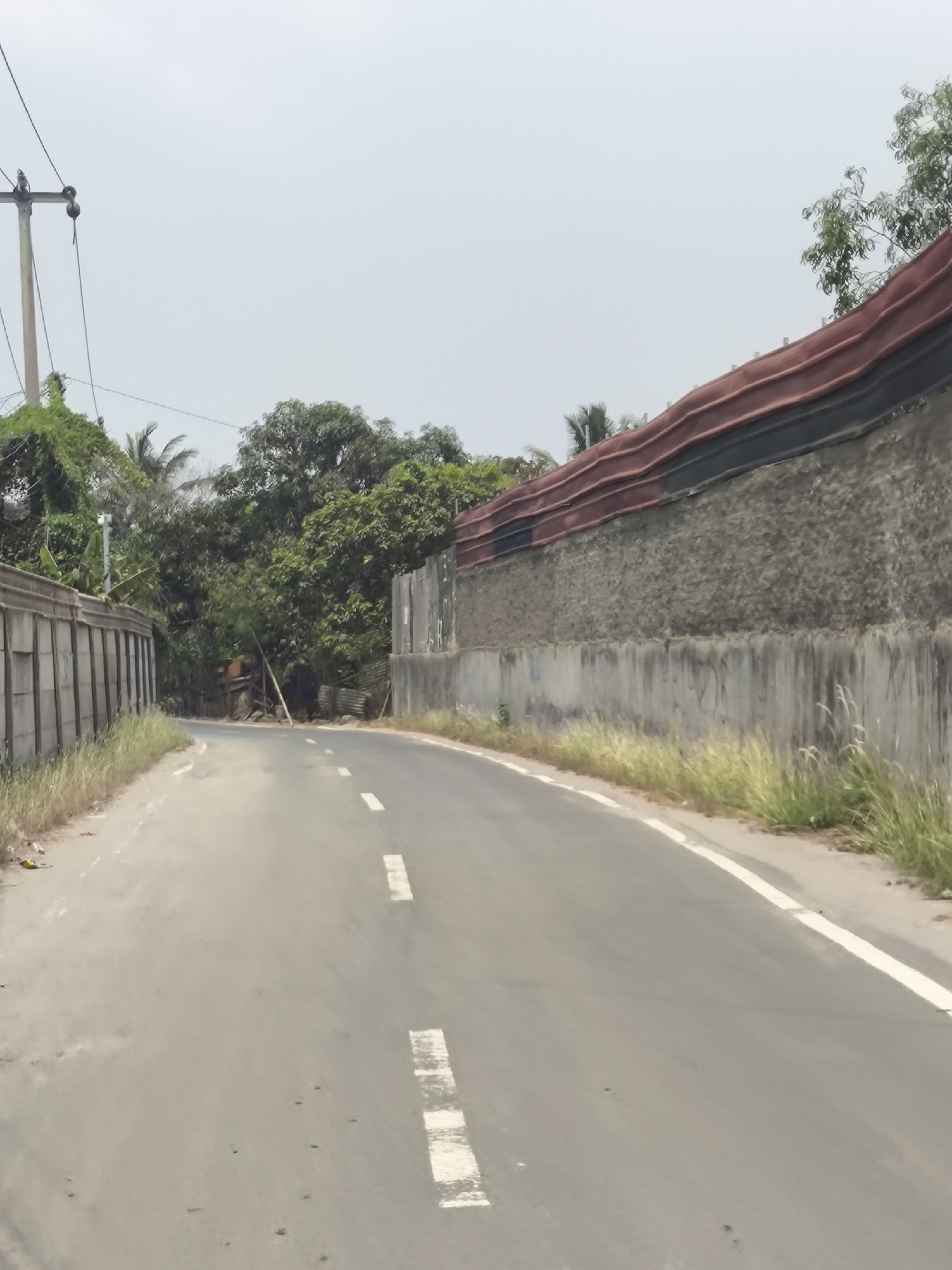 This is a photograph of a road curving to the right, bordered by a concrete wall on the left and a textured, sloped structure topped with corrugated metal roofing on the right. The road is asphalt with dashed white lines marking the lanes. On the left side of the road, tall grass and a concrete wall with vertical panels are visible. Beyond the wall, lush green trees and vegetation line the area. On the right side, more tall grass grows along the base of the sloped structure. The sky is overcast and pale. The overall scene depicts a semi-rural or industrial area within the city of Cilegon, Indonesia, possibly a thoroughfare leading to or from a facility.