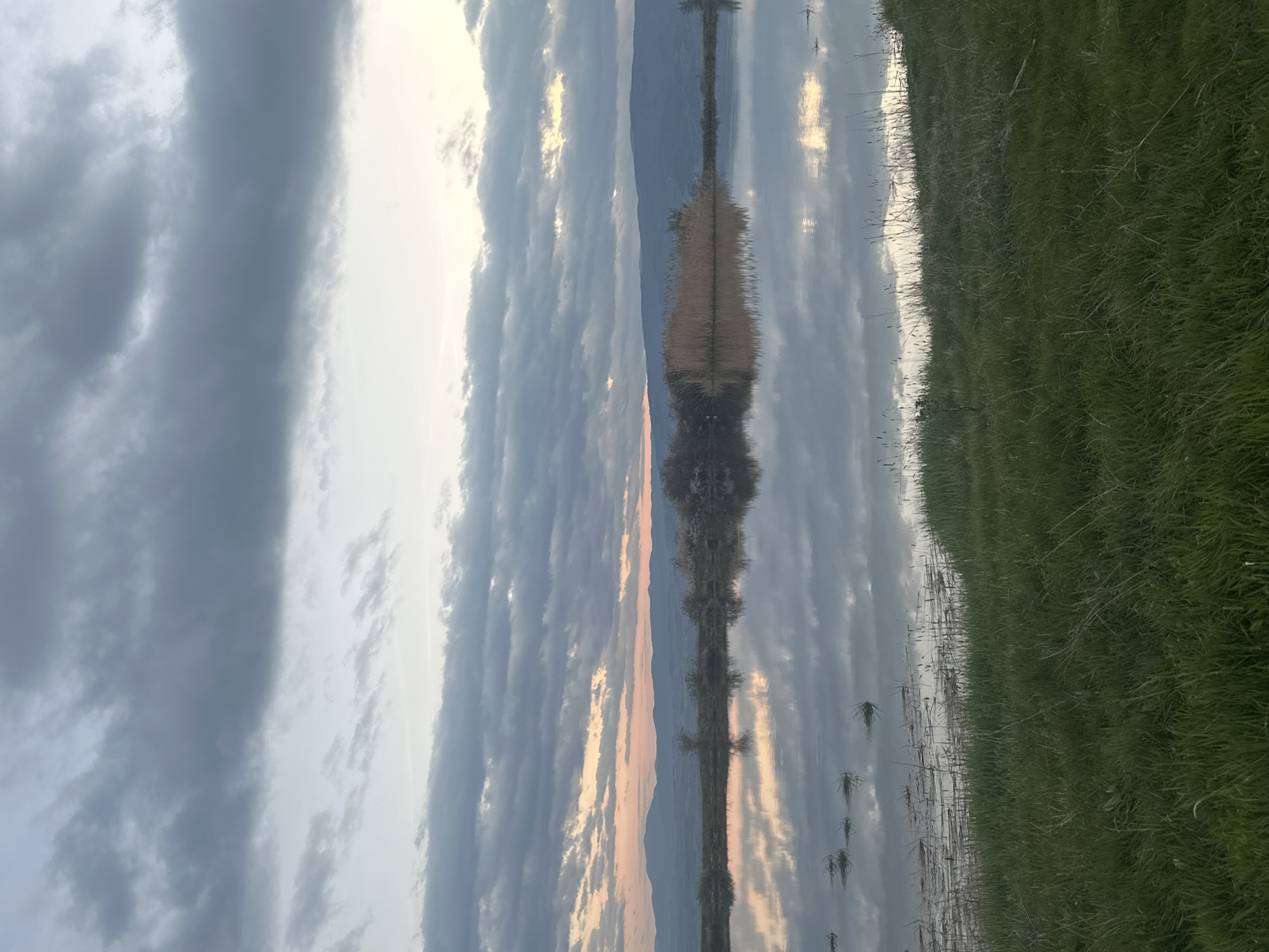 The image depicts a scene near a body of water with a reflection of trees and sky on the water's surface. The sky is filled with clouds, and there's a hint of pinkish or orange light, suggesting sunset or sunrise. Mountains are visible in the background. A grassy area is on the right. The location is in the city of Unknown, Unknown.