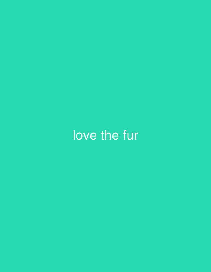 A flat, teal-colored background dominates the image. In the center, white sans-serif text reads "love the fur." The phrase is simple and uncluttered, drawing focus to the message. The overall composition is minimalistic, with the text and background color creating a clean and modern aesthetic.