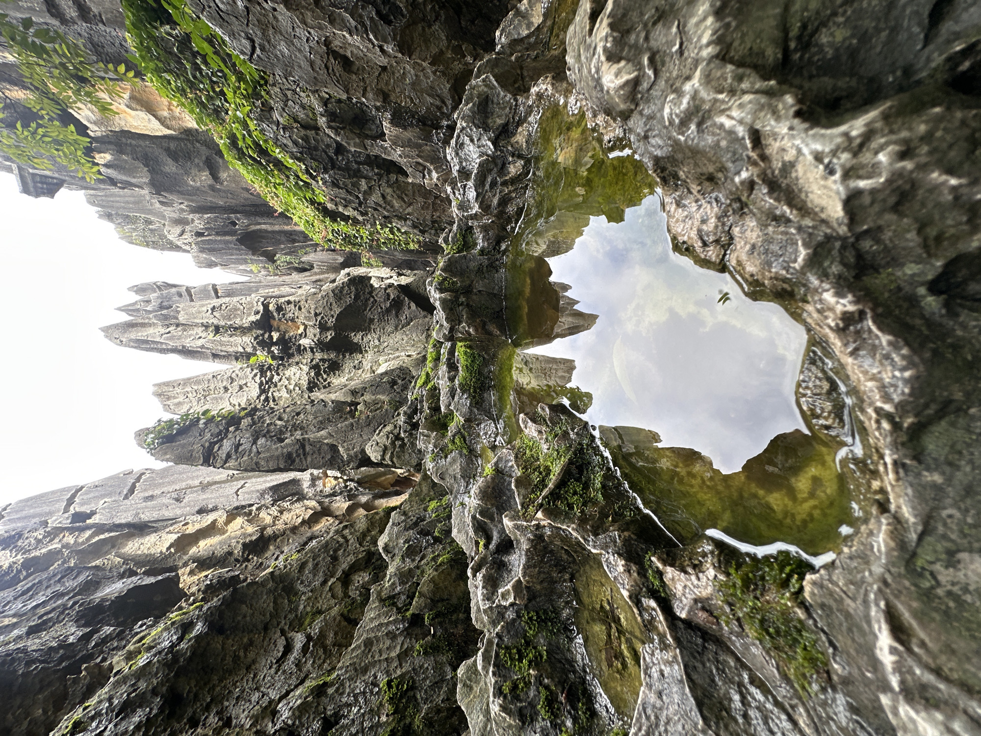 The image shows a narrow passage through tall, jagged limestone formations in the Stone Forest National Geological Park, located in the Shilin Yi Autonomous County, Kunming, China. In the foreground, a shallow pool of greenish water reflects the sky and the sharp spires of the rocks. The rocks themselves are dark gray and textured, with patches of moss and lichen growing on their surfaces, particularly around the water. The overall scene depicts a natural, rugged landscape characterized by karstic topography. There are no people or animals visible in the image. The lighting suggests an overcast or cloudy day, with soft illumination that highlights the textures of the rock.