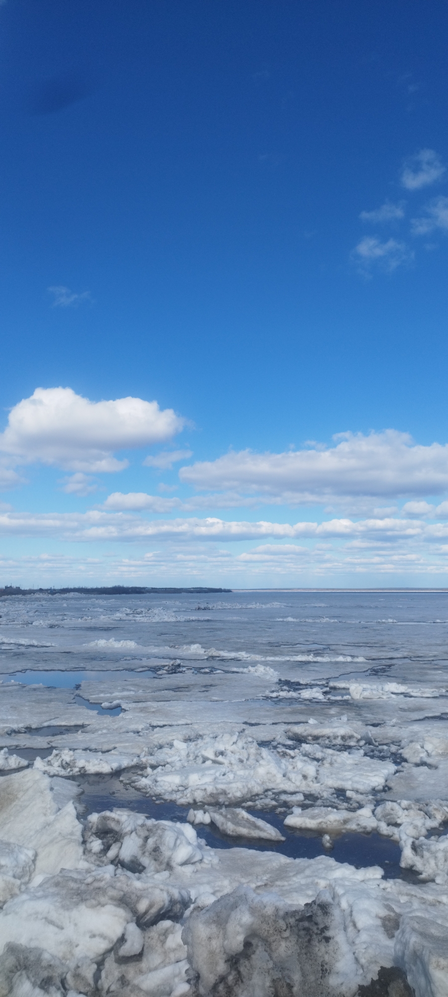 The image depicts a winter landscape in Yakutsk, Russia. A body of water, likely a river or lake, is partially frozen with ice floes of varying sizes covering the surface. The ice shows a mix of white and grey tones, suggesting a combination of new and older ice. In the background, a thin strip of land or island is visible along the horizon. The sky is a bright blue with scattered white clouds. No people or animals are visible in the image. The scene is dominated by the cold, icy environment typical of Yakutsk's winter conditions.