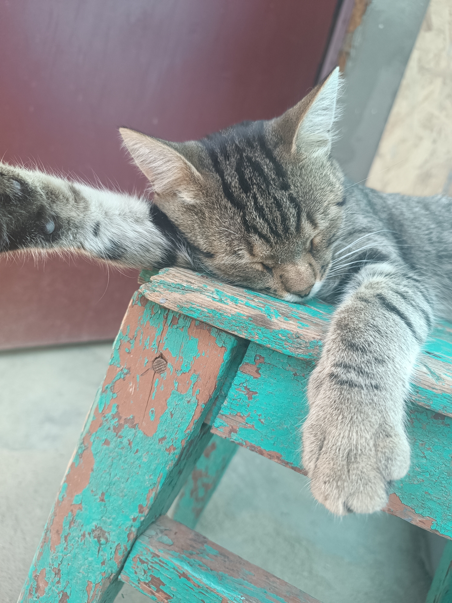 A tabby cat is sleeping on a weathered, turquoise and brown wooden step stool. The cat is resting its head on the stool, with its paws dangling over the edges. The background is blurred and appears to be an outdoor setting, possibly a yard. The wooden stool shows signs of age and wear, with chipped paint and visible nails.