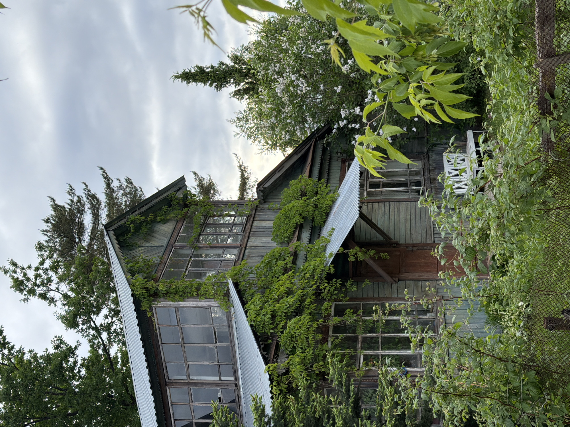 The image shows a weathered, multi-story wooden house with a complex roofline and multiple windows. Vines and foliage are growing over the exterior, partially obscuring the facade. The sky is overcast. A fence is visible on the right side of the image, suggesting a boundary. The location is Unknown, Unknown.