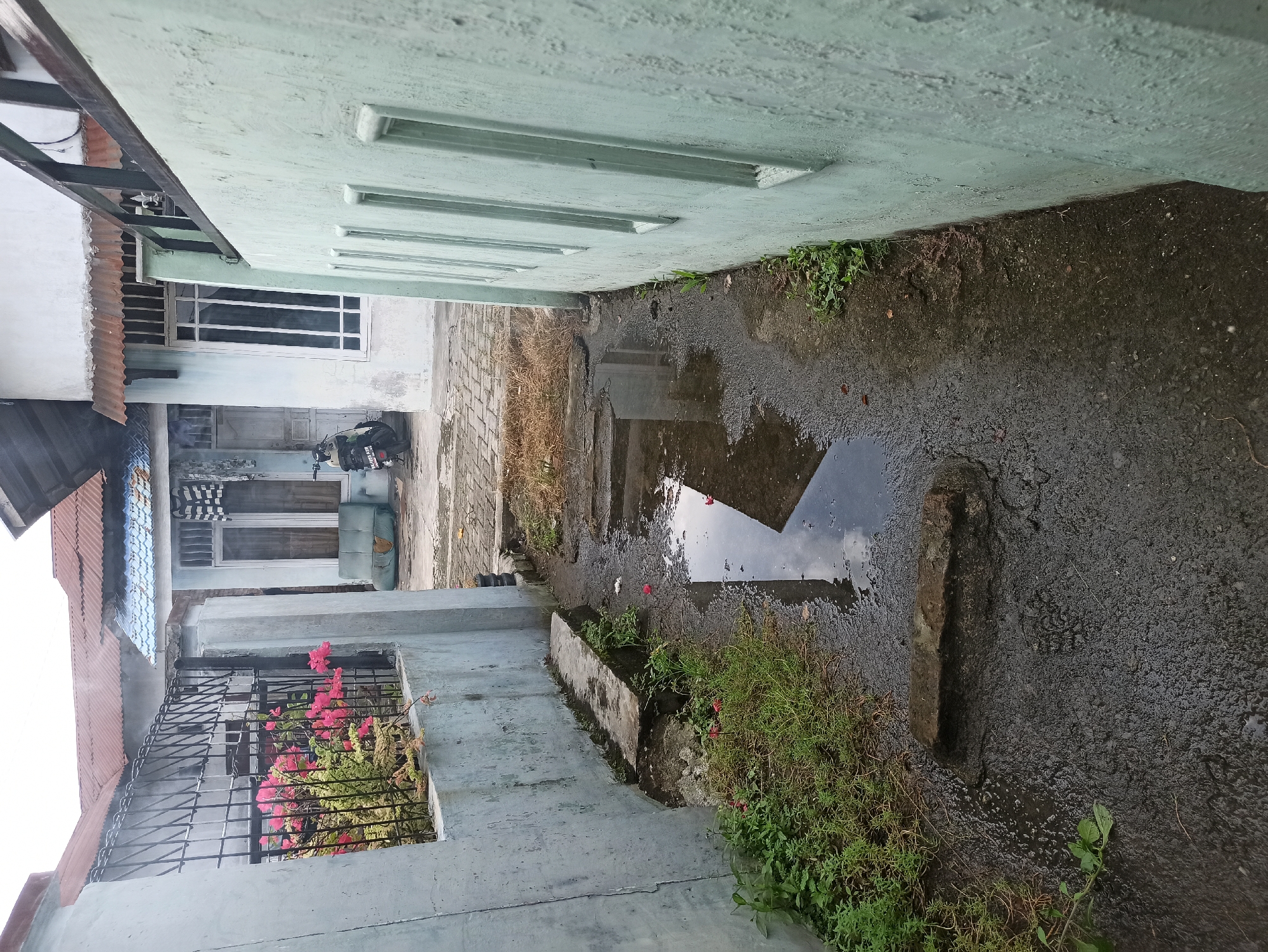 The image depicts an outdoor scene in the City of Medan, Indonesia. A narrow pathway, likely a backyard or side alley, is visible between two walls. The ground is wet and appears to be paved with a dark, asphalt-like material with puddles of water reflecting the overcast sky. On the left, a rough concrete wall runs along the pathway, with a metal fence separating it from a small garden area. This garden features green foliage and vibrant pink bougainvillea flowers. A concrete bench is situated against the left wall.
To the right, a light green painted wall with three rectangular indentations runs parallel to the pathway. Beyond this wall, a building with white walls and a corrugated metal roof is partially visible. This building has windows with white frames and bars. A light blue structure with a blue tiled roof is also present further back.
In the background, a parked motorcycle with a black and white license plate is positioned in front of the building. A light blue sofa with visible cushioning is also present in the outdoor area of the building. The overall environment appears to be somewhat neglected, with overgrown grass and debris. The lighting suggests it is daytime, possibly after rain.