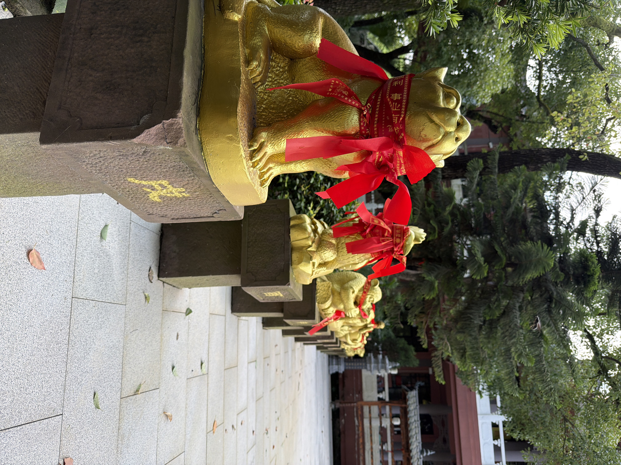 The image depicts a row of golden statues, likely of animals, adorned with red ribbons and bows. These statues are positioned on stone pedestals, which are arranged in a line on a paved walkway. The statue in the foreground, on the left, appears to be a tiger, with a yellow character inscribed on its pedestal. Behind it, subsequent statues are visible in decreasing size due to perspective, suggesting a procession or a decorative arrangement.
The environment includes lush green trees and foliage, with a traditional building visible in the background. The building features a reddish-brown roof and white railings, characteristic of East Asian architecture. Fallen leaves are scattered on the light-colored stone pavement.
The scene is set outdoors, in what appears to be a temple or a garden, possibly in the Jiulongpo District of China, given the context of the prompt. No people are visible in the image. The statues are the primary subjects, conveying a sense of cultural or religious significance, possibly related to the Chinese zodiac or local folklore. The red ribbons suggest a celebratory or auspicious occasion.