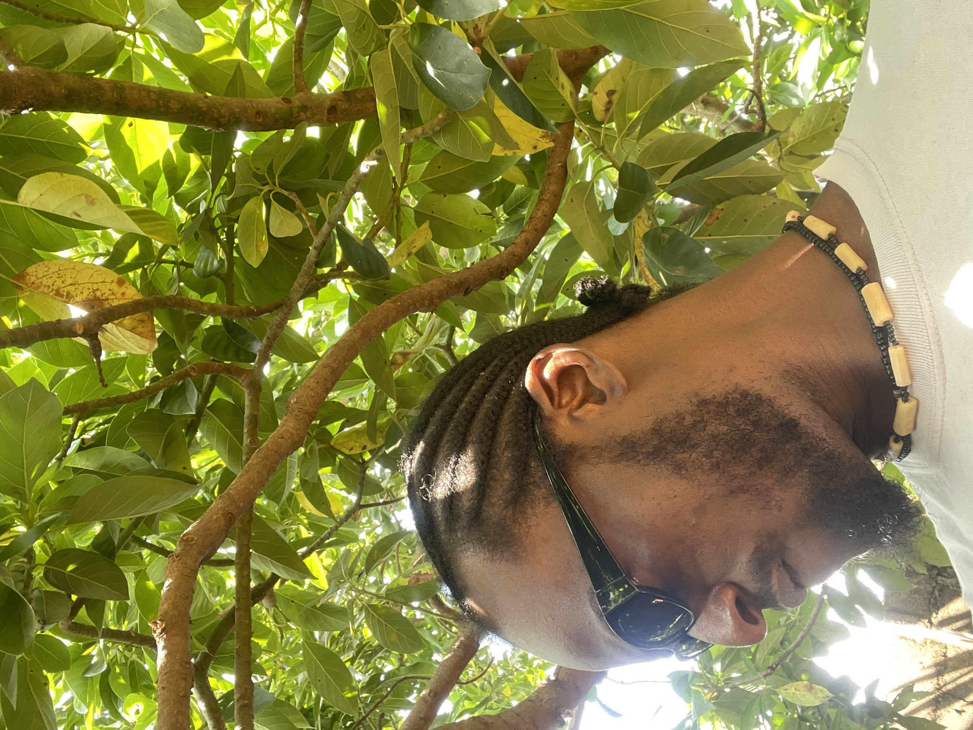 A medium close-up, profile shot shows a Black person wearing sunglasses and a necklace. The person has braided hair pulled back into a bun and is wearing a light-colored t-shirt. They are looking downwards, with their head tilted slightly to the left. The background is filled with lush green foliage, suggesting an outdoor setting. Sunlight filters through the leaves, creating dappled light and shadows on the person's face and body. The image appears to have been taken during the daytime, with the sun positioned behind and above the subject, illuminating the leaves from behind. The overall impression is one of a relaxed, possibly casual, moment captured in a natural environment. The image may have been taken in Jos, Nigeria, given the context provided.