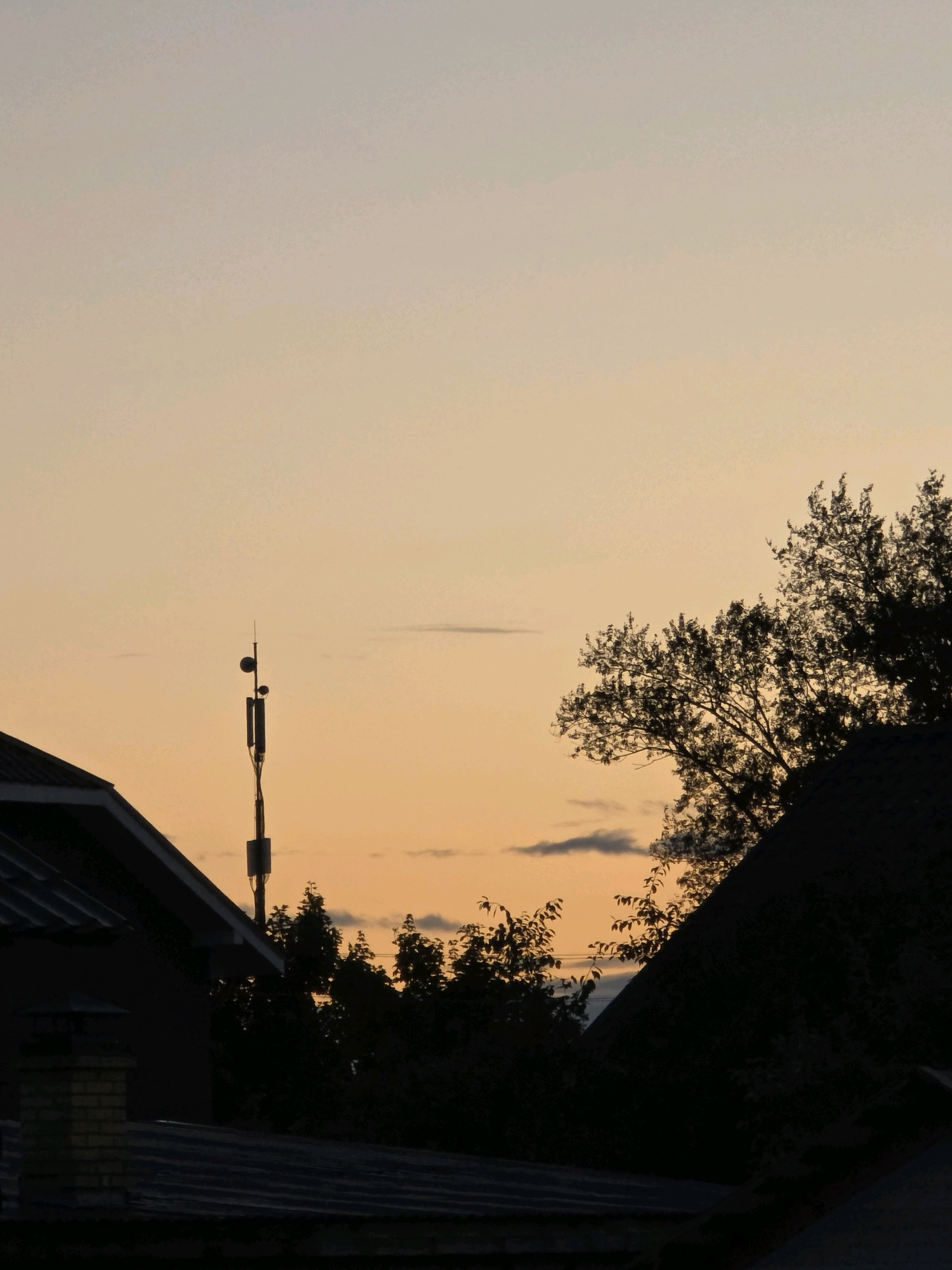 The image captures a twilight scene with a pale orange sky. Silhouetted against the sky are the roofs of buildings, trees, and a cell tower. In the foreground, the dark roofs of two structures are visible, one with a brick chimney. To the left, a portion of a building's angled roof and wall is seen. In the center of the image, a slender cell tower stands tall, adorned with several antennas and a lightning rod at its peak. To the right, the dark silhouette of a large tree with branching limbs and foliage is prominent, partially obscuring a dark, angled roofline. The background consists of the gradient sky with a few wispy clouds. The location is described as Речицы, Russia.