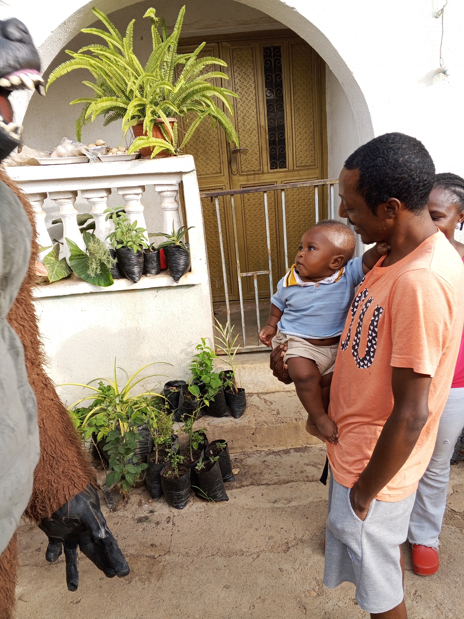 The image captures an outdoor scene in Jos, Nigeria, under bright, clear daylight. In the center, a man holding a baby stands on a light-colored concrete path. The man wears an orange t-shirt with a "LOU" design, where the "O" is made of small heart shapes, and grey shorts. He has short, dark, curly hair and a mustache, and a slight smile as he looks towards the baby or slightly past the camera. The baby, dressed in a light blue collared shirt and light-colored shorts, gazes intently to the viewer's left. Partially visible behind the man on the right is a woman with braided hair, wearing a pink top, grey pants, and red shoes.
On the far left, a large, brown, furry object or costume is prominent, showing an open mouth with teeth and a dark, claw-like hand, suggesting an animal or monster figure.
The background features a white building with a textured facade and an arched entrance. A golden-brown double door with intricate metal patterns is set behind a metal security gate. A white balustrade runs along the building's edge. On top of the balustrade, a large, vibrant green fern in a brown pot is visible, alongside several white plates or containers with small items. Below the balustrade, and extending onto the ground, are numerous small plants in black plastic bags and pots, indicating gardening or plant cultivation activities. The strong, direct lighting suggests it is midday or early afternoon. The overall atmosphere is casual and calm.