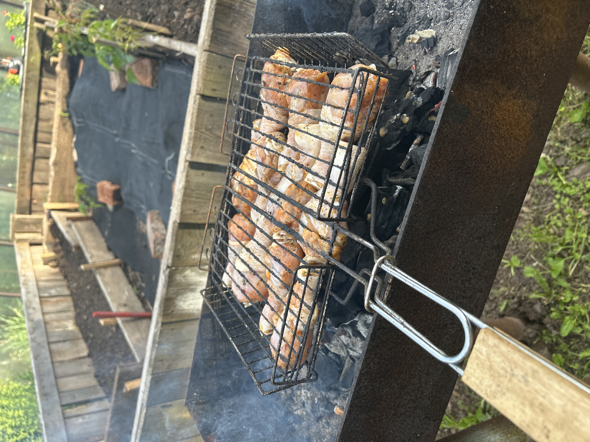 This image captures a close-up view of a barbecue grill laden with raw chicken pieces, positioned outdoors. The chicken appears to be seasoned and is arranged on a metal grill basket. Smoke is visible rising from the coals beneath the chicken, indicating it is in the process of being cooked. The grill itself is a dark metal rectangular structure, showing signs of use. In the background, a greenhouse or garden structure is visible, constructed with wooden planks. The ground surrounding the grill is covered in soil and sparse green vegetation. The overall scene suggests a casual outdoor cooking activity, likely in a residential or garden setting. The location is identified as Азинский, Russia.