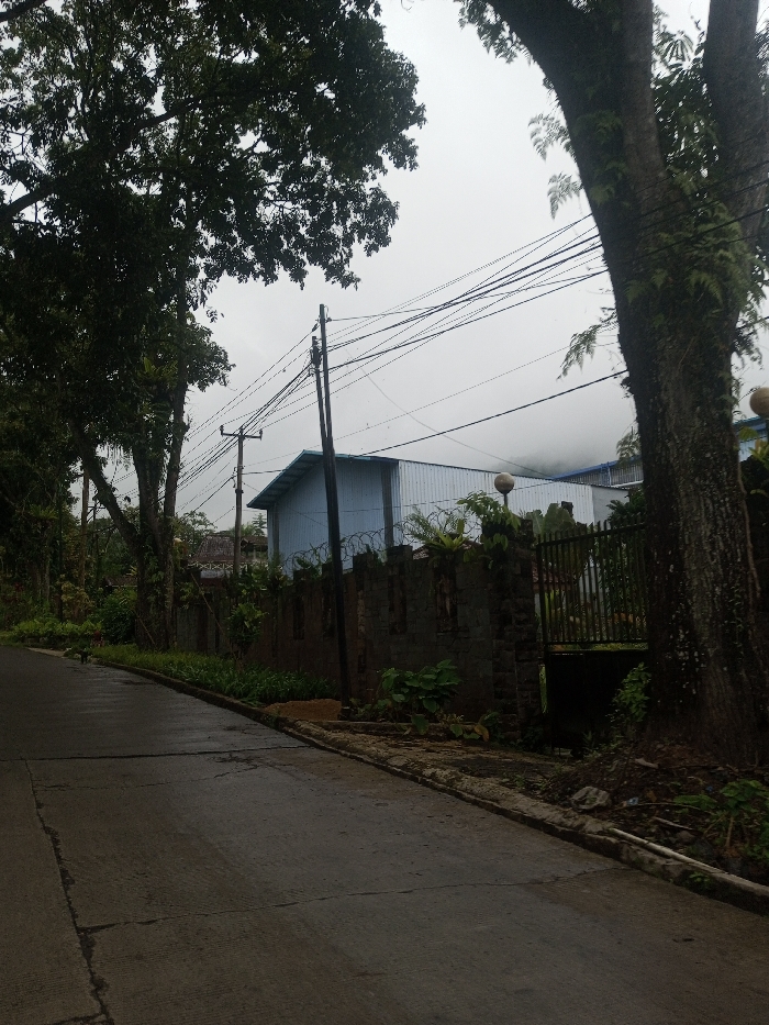 A street scene with a narrow, wet asphalt road curving slightly uphill. A dark stone wall with sporadic vegetation runs along the right side of the road, topped with barbed wire and obscured by trees. A light blue, industrial-looking building is visible behind the wall. Power lines crisscross overhead against a cloudy, overcast sky. Lush greenery and large trees frame both sides of the road, creating a dense, natural environment.