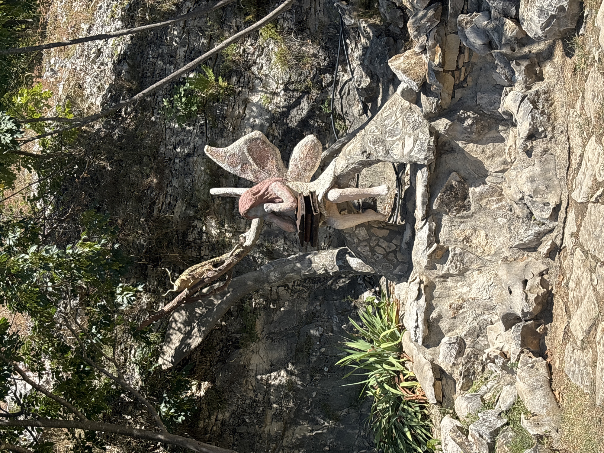 In Lukovit, Bulgaria, a stone sculpture of a fairy with outstretched wings sits on a rocky outcrop. The fairy, with light pink hair and a pale body, is depicted reading a book. A lizard perches on a branch behind and to the left of the fairy. The background consists of a rocky hill with sparse vegetation and trees. The scene is illuminated by natural daylight, casting shadows on the ground and rocks.