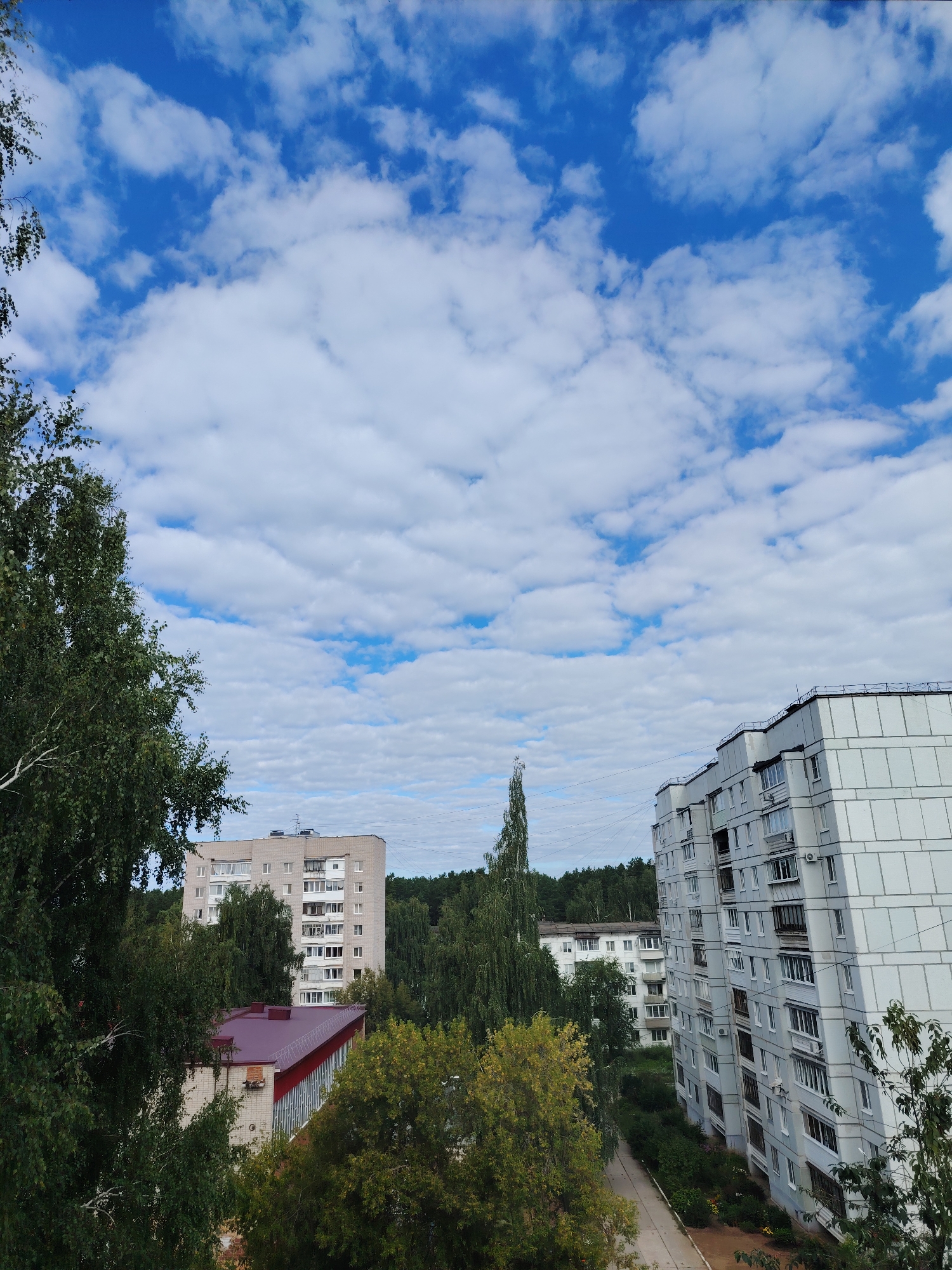 The image is a daytime, eye-level exterior shot of a residential area in Chaikovsky, Russia. In the foreground on the left, lush green trees with visible white bark dominate the left side of the frame. Behind the trees, a light-colored multi-story apartment building with a maroon roof is visible. Further back, a taller, light-colored apartment building with many windows stands amidst a dense forest. To the right, a large, modern, multi-story apartment building with a light-colored facade and visible air conditioning units is prominently featured, angled towards the viewer. The sky above is a vibrant blue, filled with numerous fluffy white clouds. A paved pathway runs between the buildings and is bordered by greenery and shrubs. No people are visible in the image. The overall impression is that of a typical suburban or urban residential neighborhood under a cloudy sky.