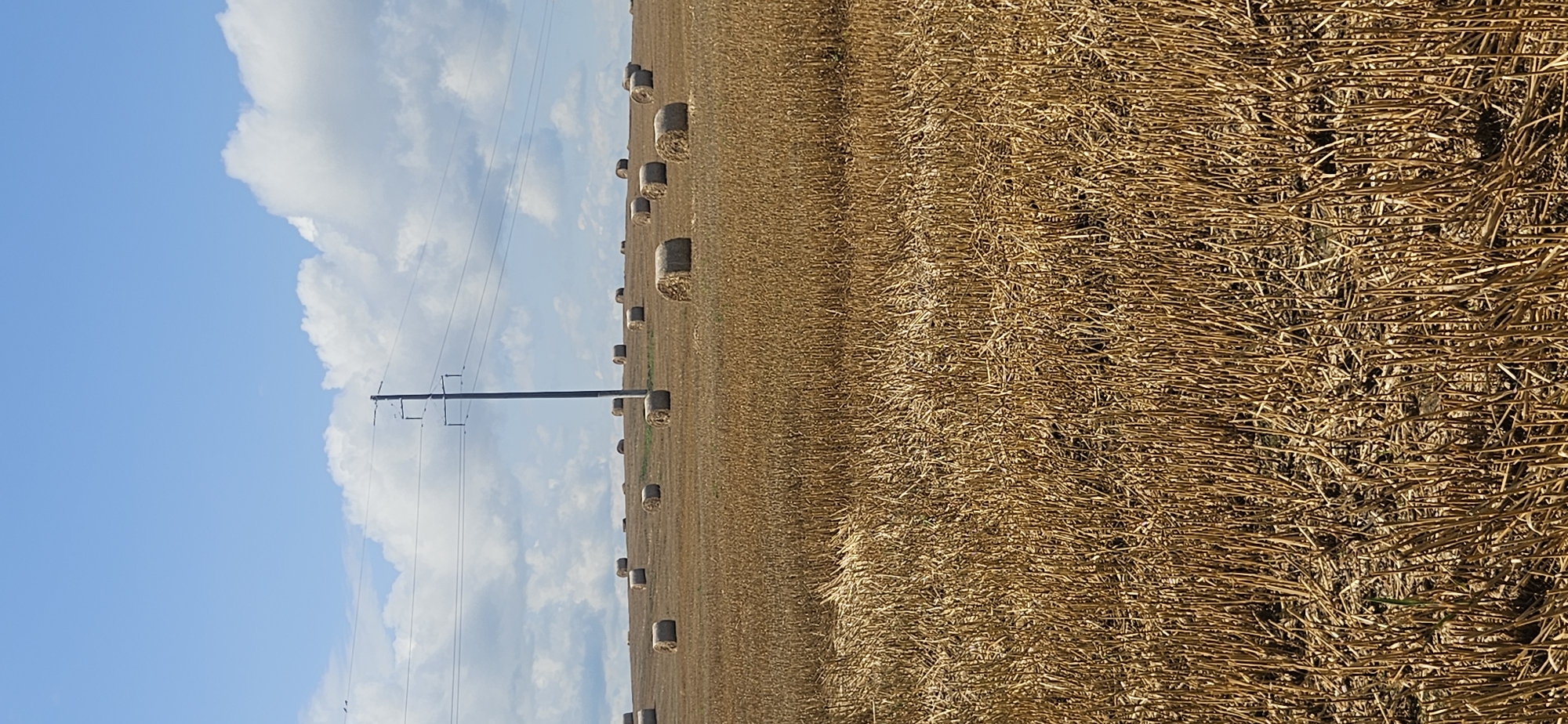 The image depicts a rural landscape in Лятчанскі сельскі Савет, Belarus, under a partly cloudy blue sky. The foreground is dominated by a field of harvested straw, with numerous round bales of hay scattered across it. The bales vary in size and density, with some appearing more compressed than others. In the mid-ground, a tall, grey utility pole with multiple wires stretches vertically, cutting across the horizon. The field extends into the distance, where the land appears to undulate gently. The overall impression is one of a harvested agricultural field, likely in late summer or early autumn. There are no people or animals visible in the image.