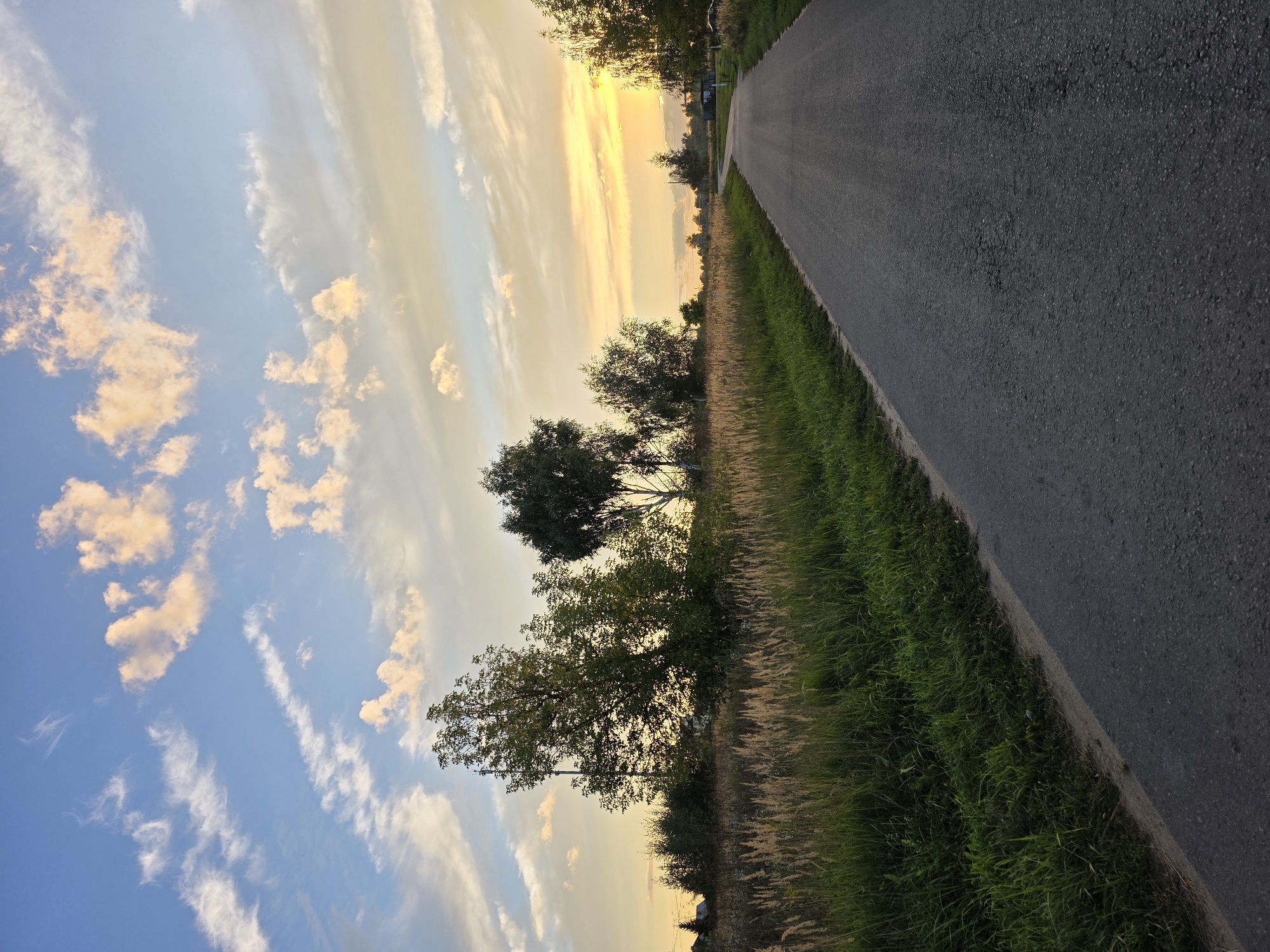 The image depicts a rural road in Rechitsy, Russia, during a sunset. The road, paved with asphalt, curves to the right and disappears into the distance. On the left side of the road, a field of tall, dry grass is bordered by lush green vegetation. Several trees with green foliage stand in the background, silhouetted against the bright orange and yellow hues of the setting sun. The sky is a mix of blue and soft orange, with wispy white clouds scattered across it. The overall scene conveys a sense of tranquility and the end of a day in the countryside.
