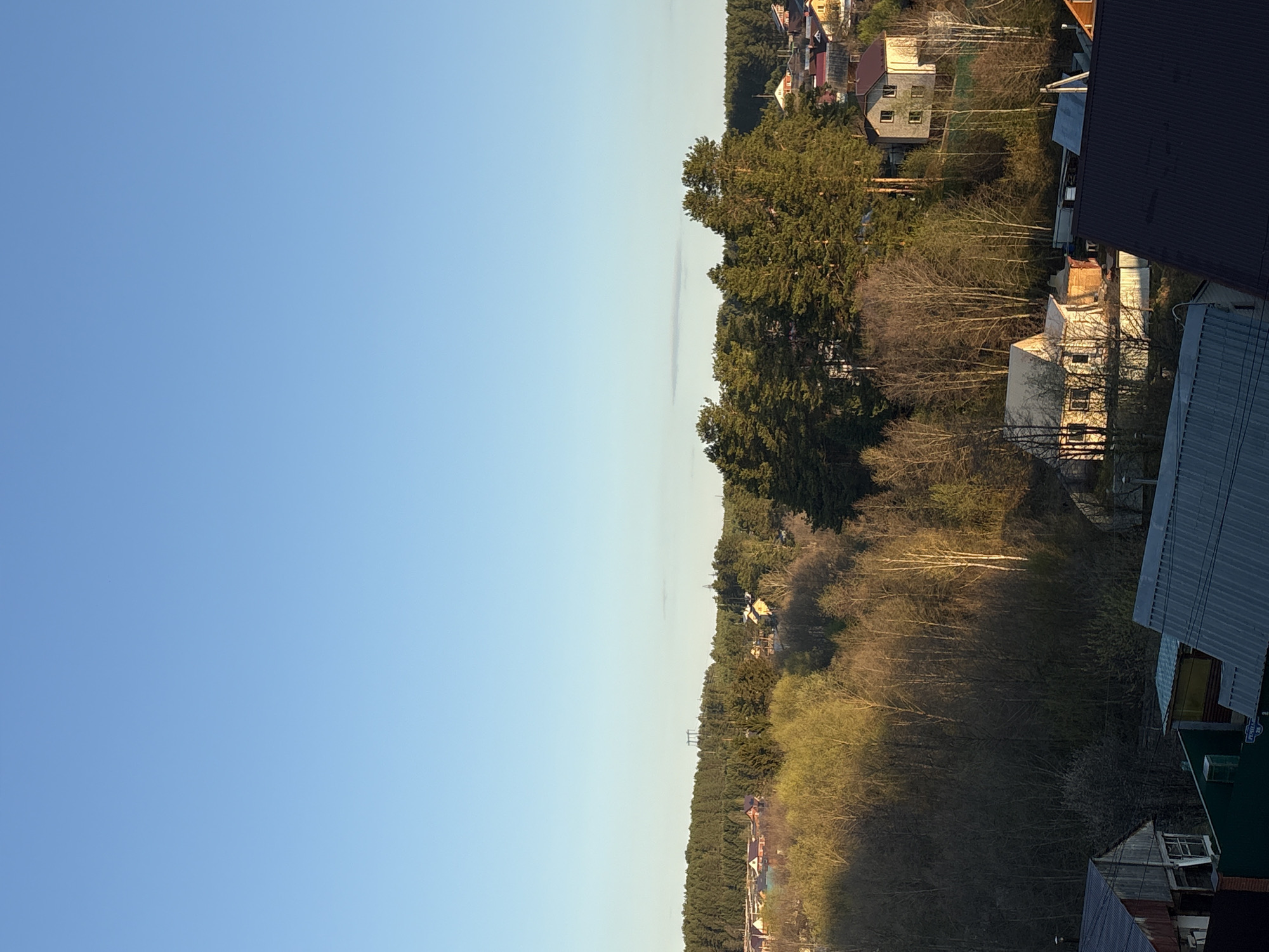 The image shows a view of a residential area in Chaikovsky, Russia, during the daytime. The left side of the image is dominated by a clear blue sky. On the right side, there are several houses with varied roof colors (red, brown, gray) interspersed with trees, both coniferous and deciduous, some of which are bare. Some of the houses are visible through the trees. There is a dense forest in the middle ground of the image. In the foreground are rooftops. The houses and trees suggest that the scene is in a suburban or semi-rural area.