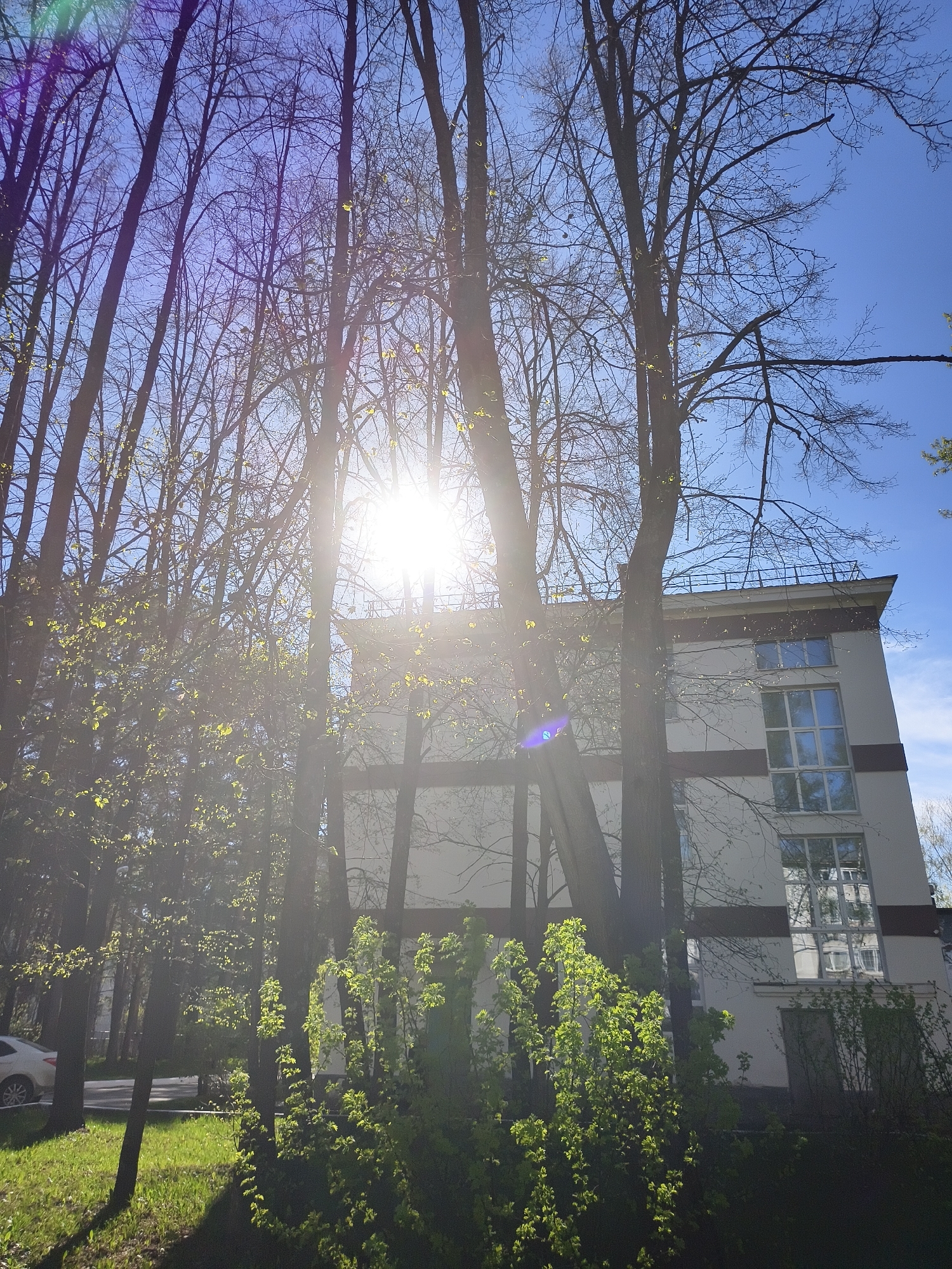 The image shows a building partially obscured by trees, with the sun shining brightly behind the trees. The building appears to be multi-story, with a flat roof and windows with white frames. There is a brown stripe on the side of the building. The trees in front of the building are mostly bare, but some have new green leaves. There is grass and bushes in the foreground, and a road is visible to the left. A car is parked on the side of the road. The sky is blue with some clouds. The location appears to be a residential area in the city of Unknown, Unknown.