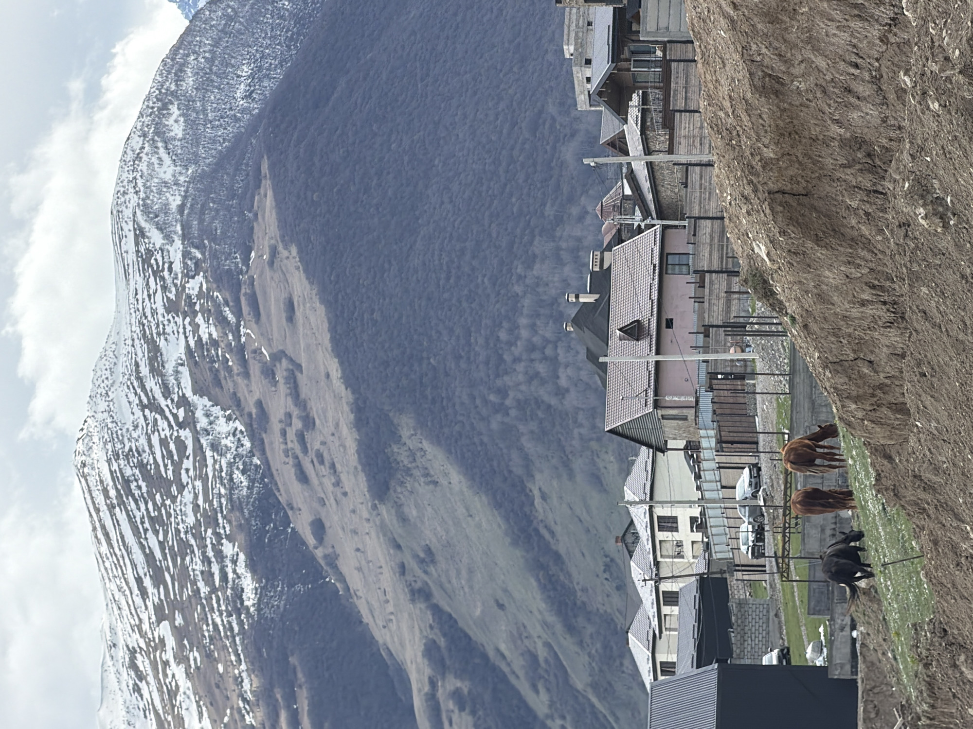The image depicts a mountainside scene in Verkhny Fiagdon, Russia, showing a residential area situated against a backdrop of mountains. The mountains are covered with snow in some parts. In the residential area, several buildings are visible, varying in design and color. Several horses graze on a grassy patch on the right side of the frame, near a rocky outcrop. Electrical poles run alongside the road in front of the houses. A few cars are parked in the residential area.