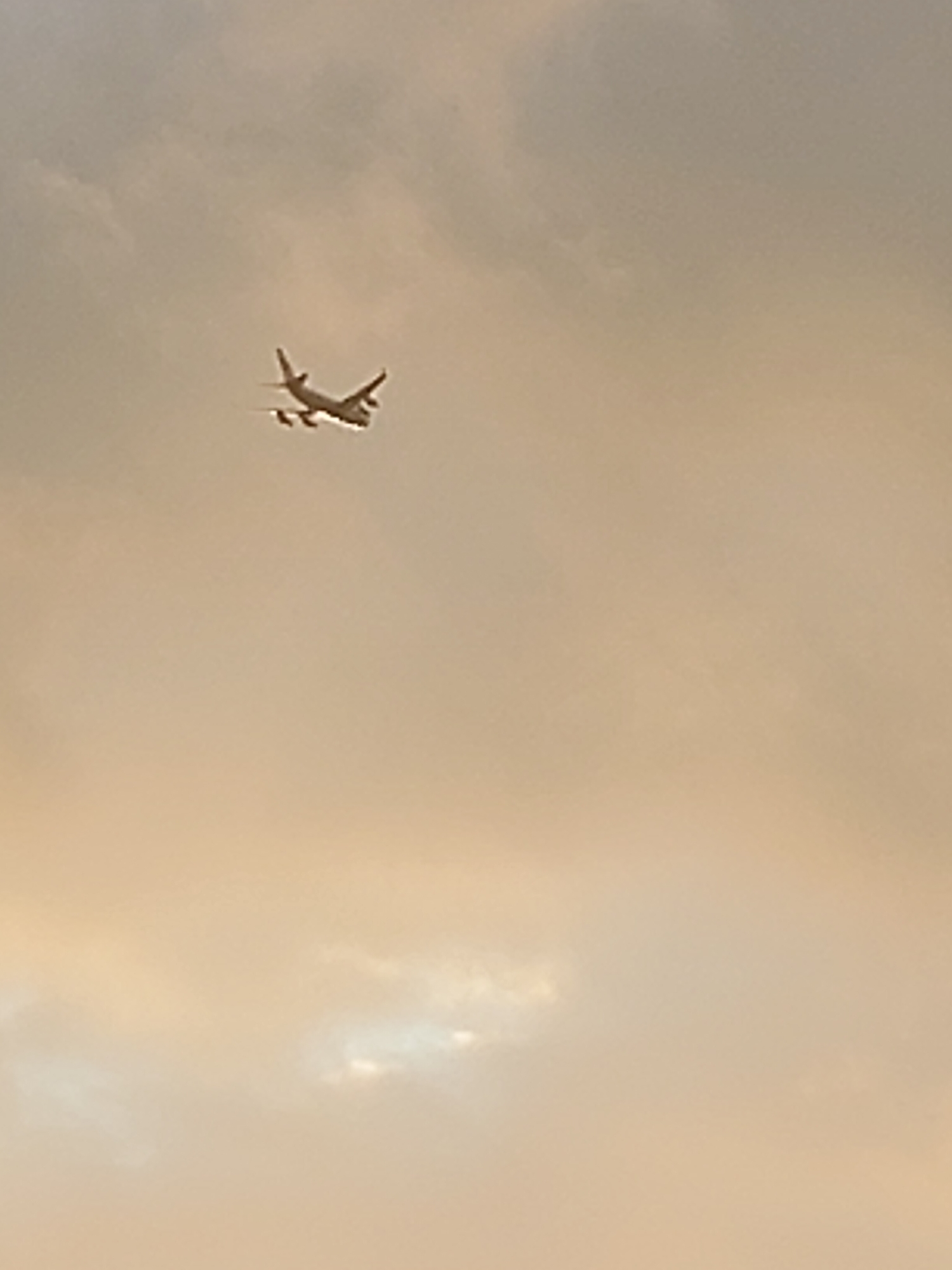 An airplane is visible in the sky. The airplane is white with four engines and appears to be in flight. The sky is overcast with clouds, and the overall lighting suggests it is either early morning or late afternoon. The image was taken from the ground, looking upwards at the airplane. The location is Венюково, Russia.
