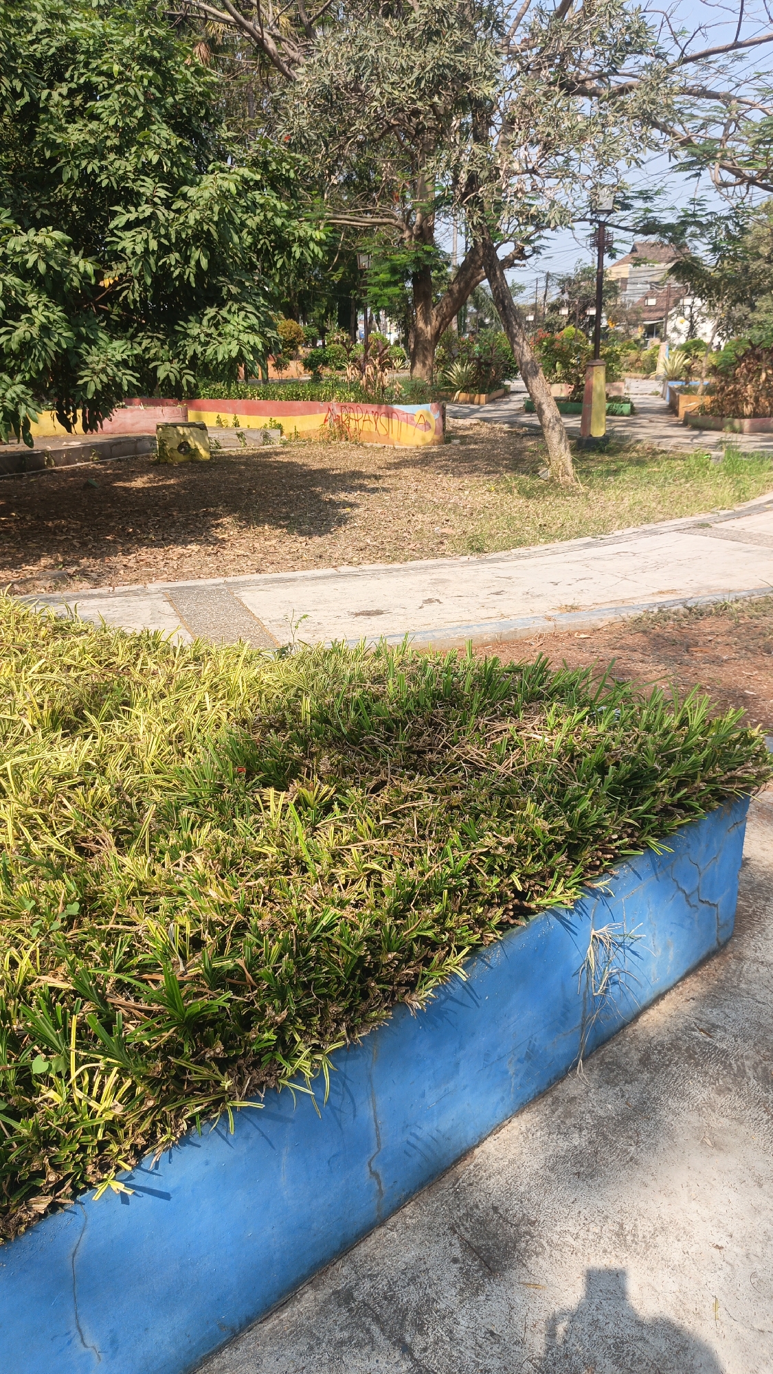 This is a photograph of a park in Jekulo, Indonesia. In the foreground, a bright blue planter box is filled with dense, green and yellow grass. Behind the planter, a paved walkway curves through the park. The walkway is bordered by areas of dry brown leaves and green grass. In the middle ground, a low, curved planter box is painted with red, yellow, and blue stripes. Beyond that, trees with lush green leaves and bare branches dominate the landscape. In the background, there are more trees, streetlights, and buildings. The sky is clear and blue. The scene suggests a sunny day in a well-maintained urban park.