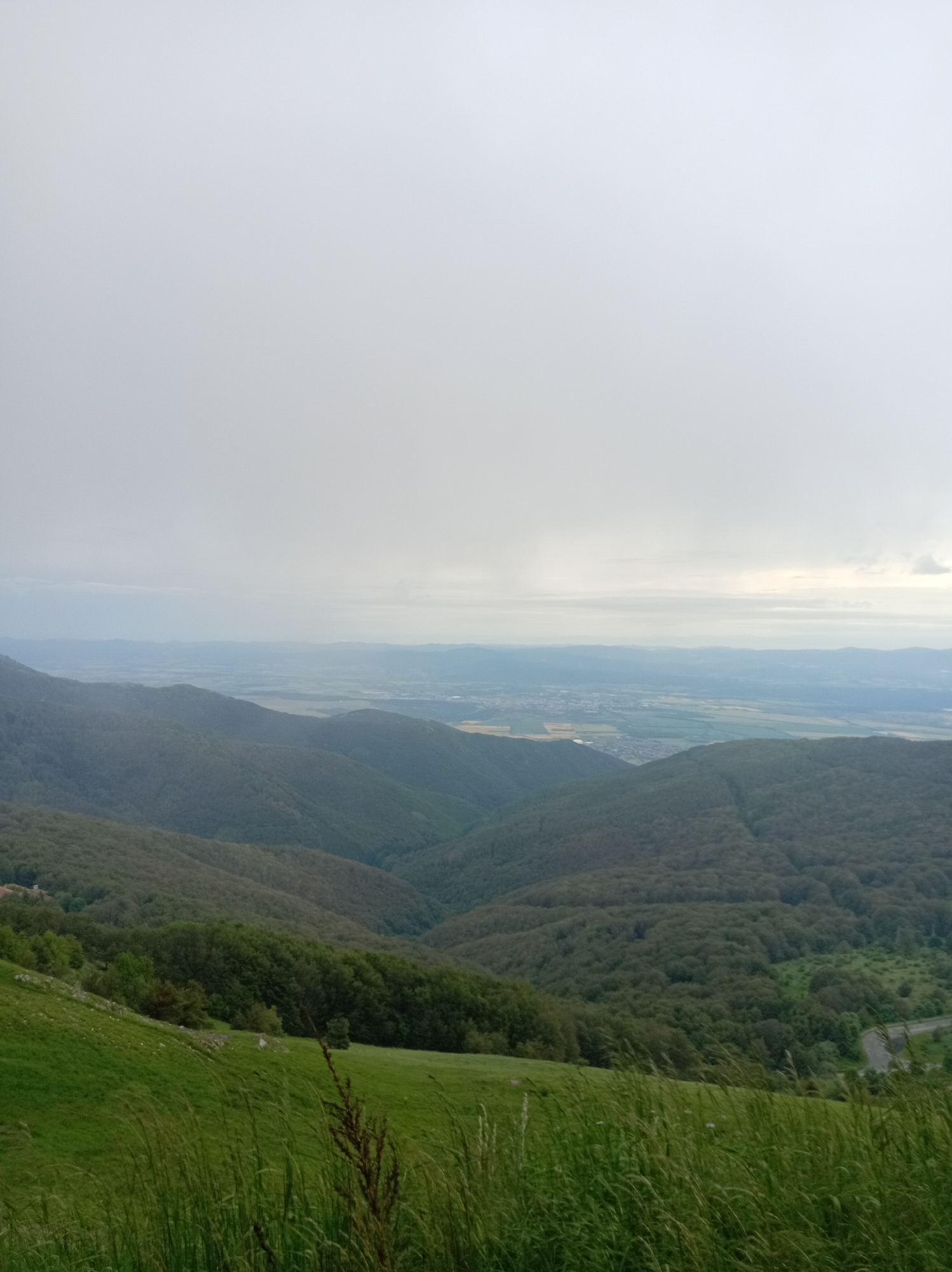 The image depicts a panoramic view of a mountainous, forested landscape under an overcast sky. The foreground features a grassy slope with tall grass and a few scattered rocks. In the midground and background, rolling hills covered in dense green trees stretch towards a distant valley. A town or village is visible in the far distance, nestled within the valley. A winding road can be seen on the right side of the image, disappearing into the trees. The overall impression is one of natural beauty and tranquility, with a hint of human presence in the distant settlement. The location is Unknown, Unknown.