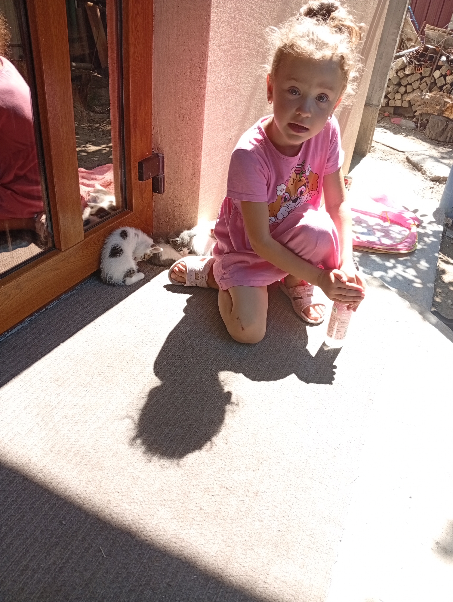 A young girl with blonde hair tied in a bun is kneeling on a textured surface outside a pink-walled building. She is wearing a pink t-shirt with a graphic of a dog and pink pants, along with pink sandals. Her hands are clasped in front of her, and she is holding a light-colored bottle. Two kittens are sleeping near her, one primarily white with black spots, and another grey. They are positioned on a pink blanket or fabric, partially visible through a wooden-framed glass door. The ground is a textured grey mat, and a shadow of the girl and a larger, indistinct shadow are cast upon it. In the background, there is a stack of firewood and the corner of a fence. The scene appears to be outdoors, possibly in a residential area in Pănășești, Moldova, given the architectural style and general setting. The lighting suggests it is daytime.
