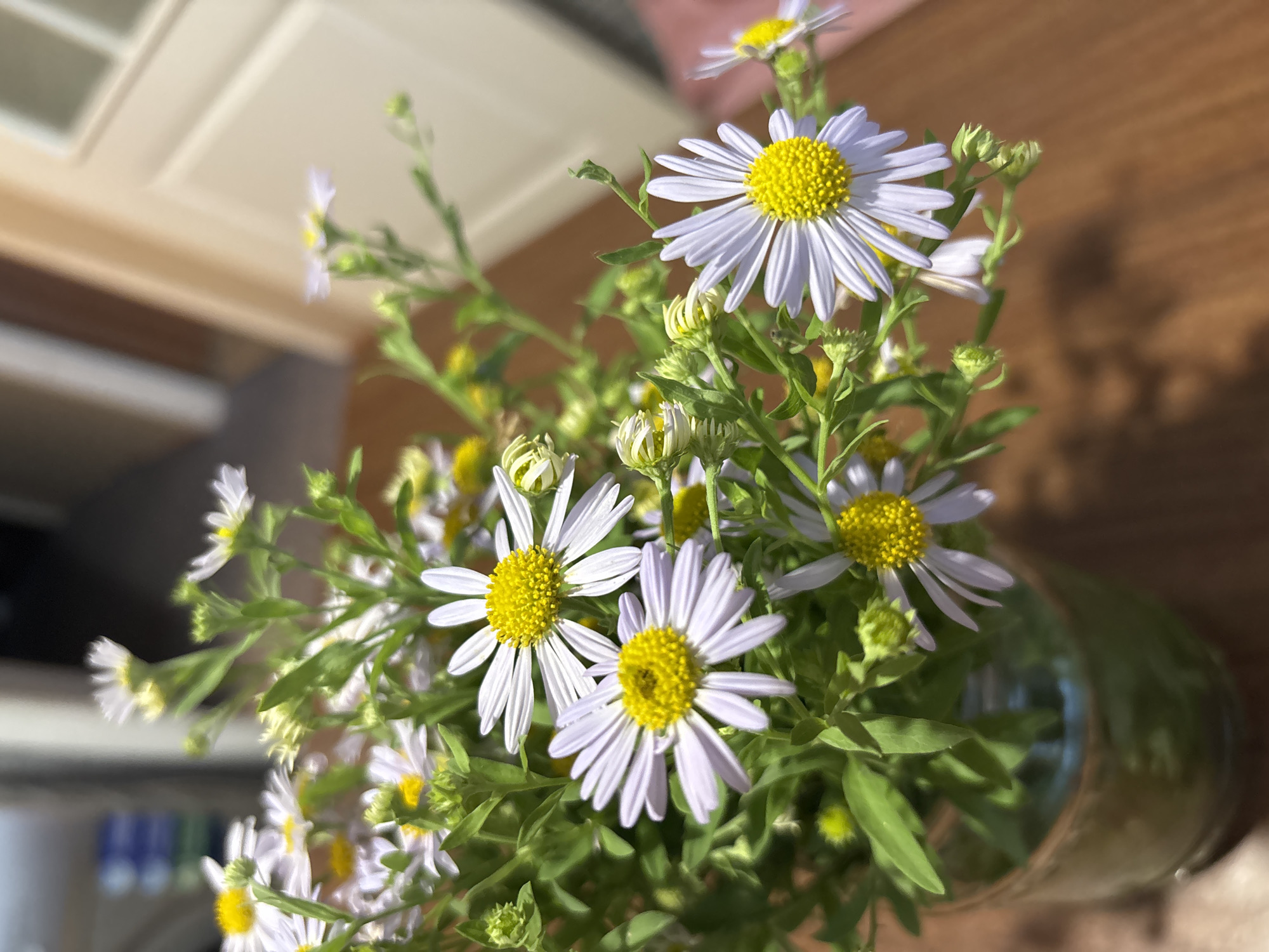 The image is a close-up, vertical shot of a bouquet of small, white and yellow daisies in a green glass vase. The daisies have white petals radiating from a bright yellow center. They are arranged in a lush bunch with green leaves and smaller buds interspersed. The vase is partially visible at the bottom left of the frame, appearing to be made of textured green glass. The background is blurred, showing an indoor setting with soft lighting. To the left, a dark, out-of-focus area might be furniture or a doorway. To the right, a beige wall and a door with white trim are visible, suggesting a room. The overall impression is a still life with a focus on the delicate beauty of the flowers. The lighting suggests it is daytime, with sunlight casting shadows on the wooden surface in the foreground. There are no people or animals in the image. The scene is indoors and appears to be a domestic setting. The location of the image is not discernible from the visual information provided.