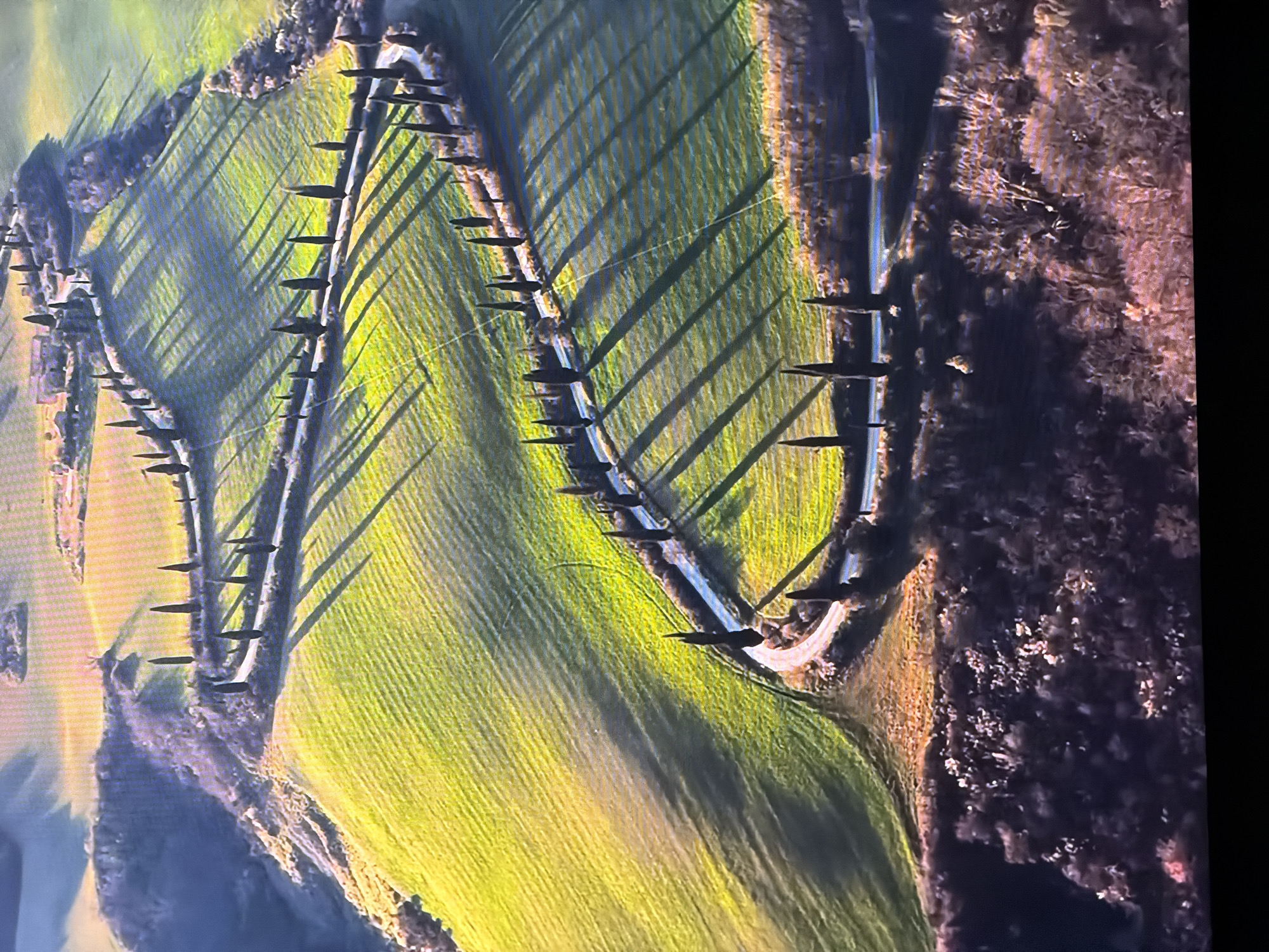 The image depicts a scenic aerial view of a winding road lined with cypress trees, curving through lush green rolling hills. The sunlight casts long shadows from the trees across the fields, creating a dramatic visual effect. In the distance, there appears to be a cluster of buildings, suggesting a rural or agricultural area. The overall impression is one of tranquility and natural beauty. There is no indication of the city of Chirchik, Uzbekistan, or any specific urban elements within this image.