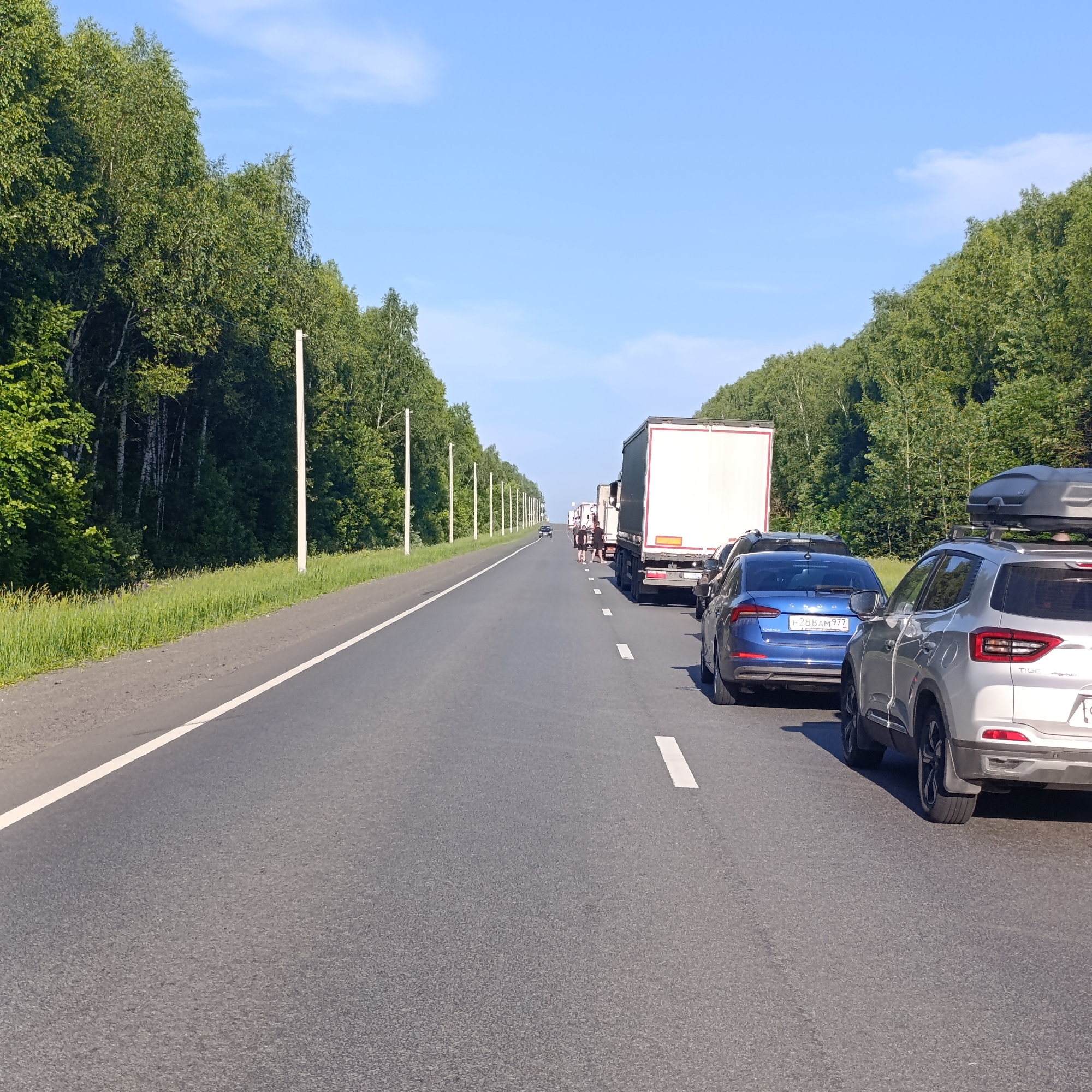 The image depicts a traffic jam on a highway lined with trees. The scene is viewed from the perspective of a vehicle in traffic, looking forward. Several cars and trucks are stopped on the asphalt road, which has white lane markings. The sky is clear and blue. The surrounding environment is dominated by dense green trees on both sides of the road. There are also utility poles visible along the side of the road. The overall impression is a sunny day with normal traffic conditions interrupted by a standstill.
