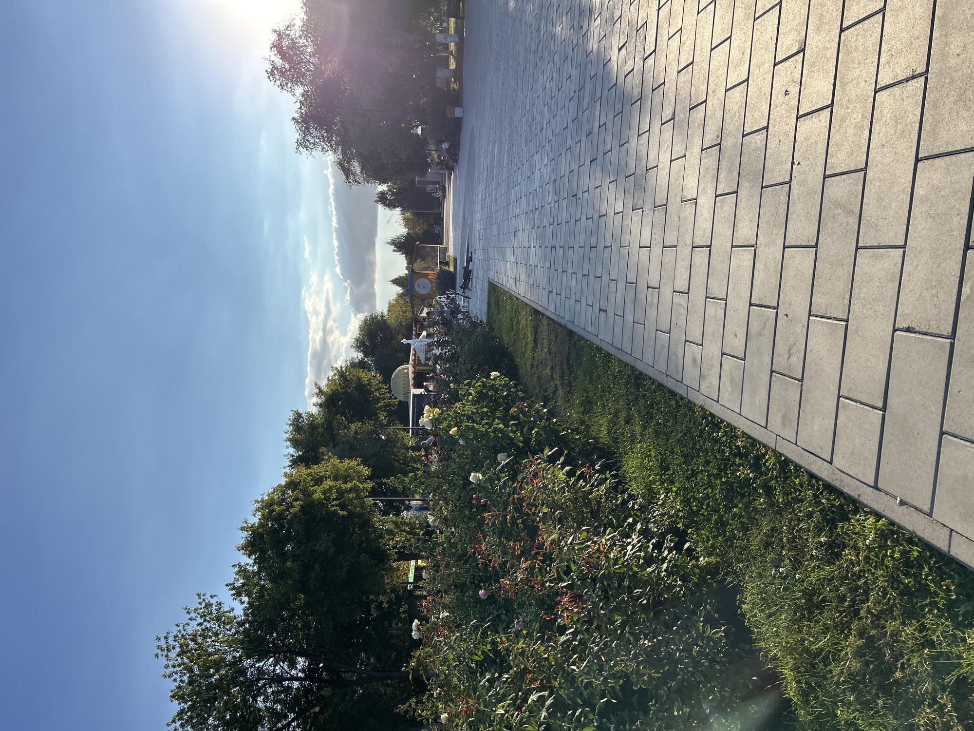 The image depicts a sunlit park pathway in Orsk, Russia, likely during late afternoon or early evening, given the long shadows cast by the sun. The pathway, paved with light gray rectangular bricks, runs from the foreground towards the background, curving slightly to the right. To the left of the pathway, a lush garden bed filled with rose bushes, featuring both red and white blooms, is visible. Beyond the garden, a grassy area and mature trees form a green backdrop. In the distance, along the pathway, several figures can be seen sitting on benches, and some appear to be walking or standing near what look like small kiosks or pavilions. The sky is a vibrant blue with scattered white clouds and the sun is a bright disc peeking from behind trees on the right side of the frame, creating lens flare. The overall scene conveys a sense of a tranquil public space enjoying pleasant weather.