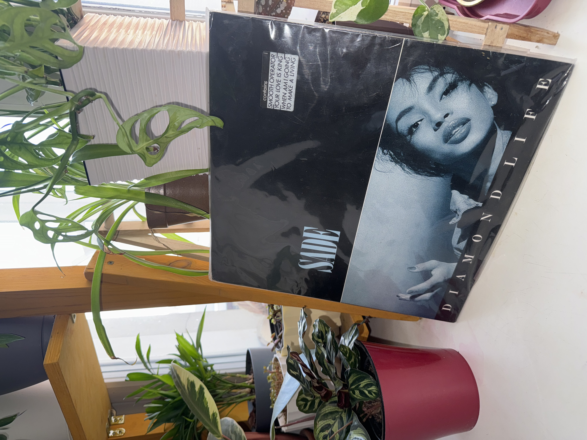 The image features a vinyl record album titled "Diamond Life" by Sade, resting on a wooden shelf surrounded by various houseplants. The album cover depicts Sade Adu in black and white. The record is in a protective plastic sleeve. The shelf is situated near a window with white blinds. Plants in pots of different colors are arranged around the album.