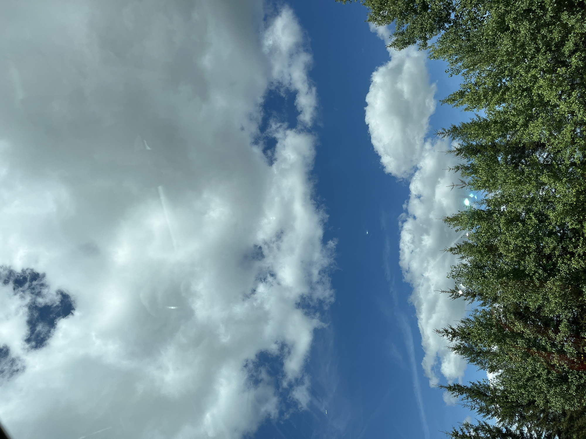 The image captures a view of the sky and a line of trees, likely taken from inside a vehicle due to reflections on the glass. The sky is a vibrant blue, dotted with fluffy white clouds. Some of the clouds are large and billowy, while others are smaller and wispy. There are also thin, streak-like clouds visible. In the lower half of the image, a dense line of green trees spans the width of the frame. The trees vary in height and type, with some appearing to be coniferous and others deciduous. The overall impression is that of a clear, pleasant day, possibly in a suburban or rural setting. The location is unknown and the image does not provide any specific details to suggest it is in Russia or any particular city.