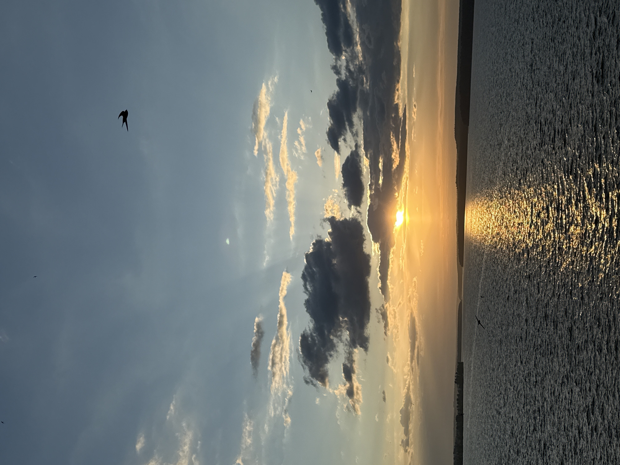 A sunset over a large body of water. The sun is partially obscured by clouds, and its reflection is visible on the water's surface. Several birds are flying in the sky. The scene is possibly near Votkinsk, Russia, based on the photographer's previous edits.