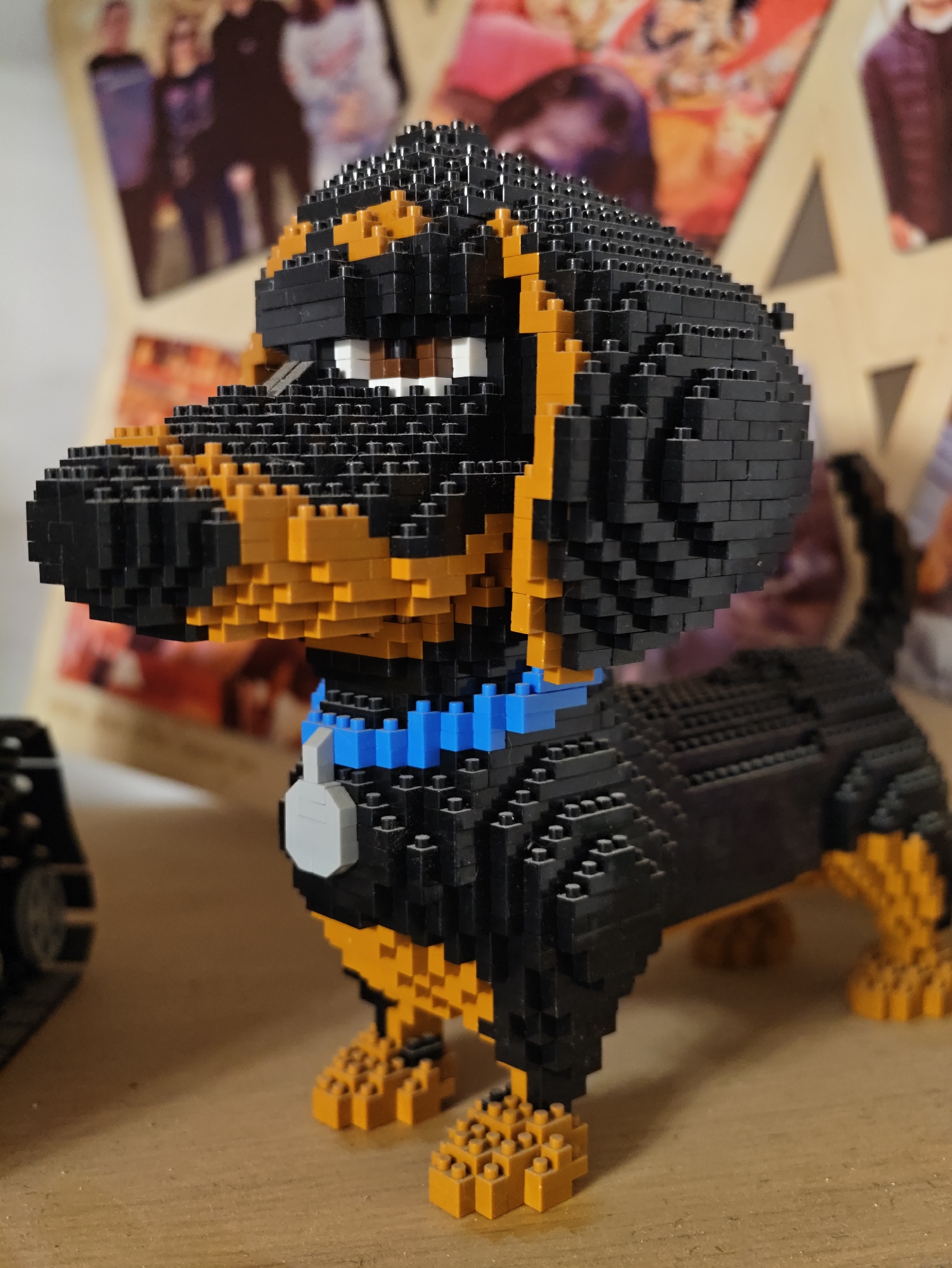 A close-up, eye-level shot shows a dachshund figurine constructed from small, interlocking plastic bricks. The figurine is predominantly black with tan accents on its face, ears, legs, and tail. It wears a blue collar with a grey tag. The dog stands on a wooden surface. In the background, unfocused photographs of people are displayed on a wall. The scene is indoors, likely a home or display area, with no indication of a specific city or country.