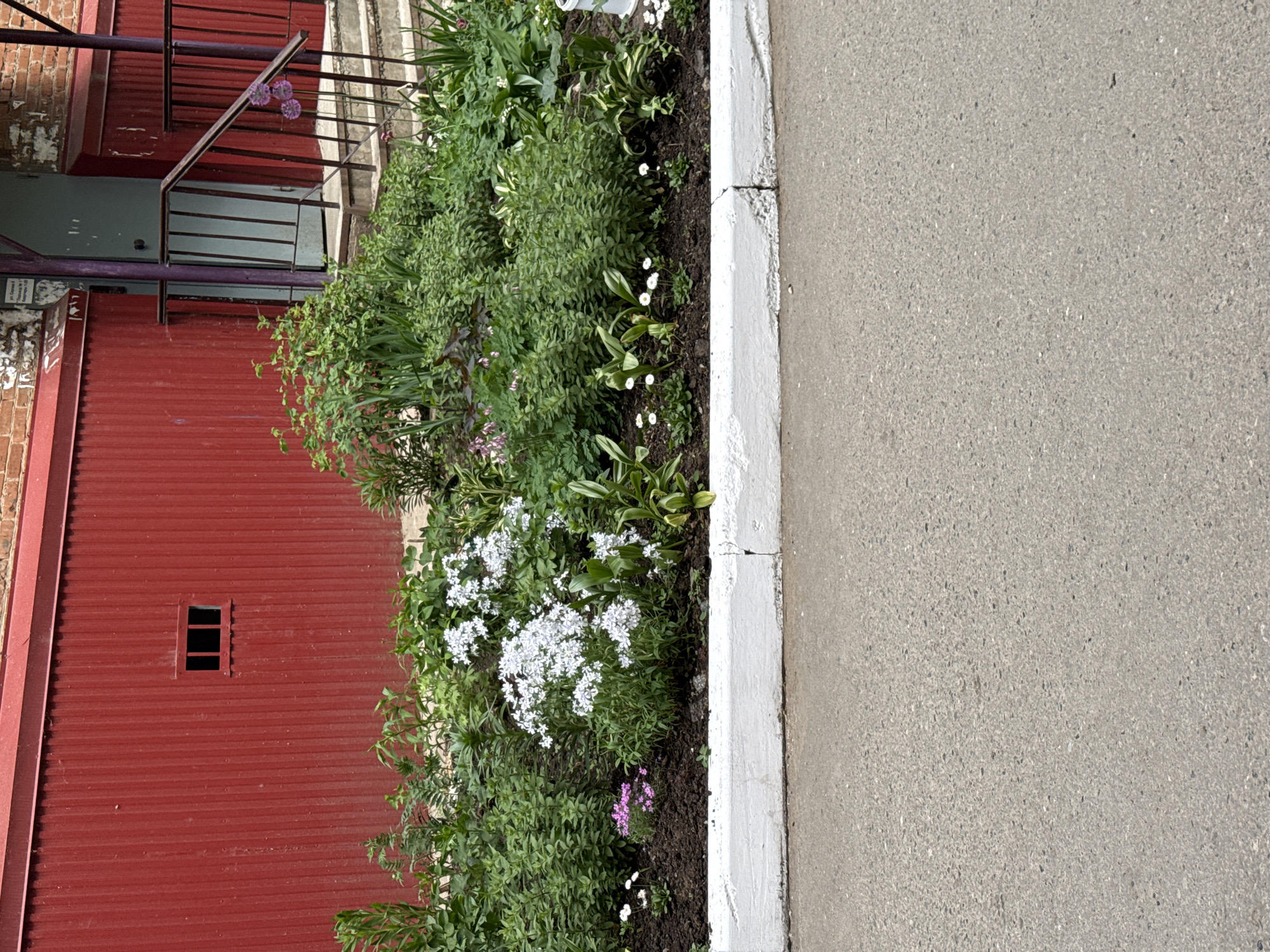 The image shows a street scene in Votkinsk, Russia, featuring a red corrugated metal building with a small window near a flower bed. A concrete sidewalk runs alongside the flower bed. The flower bed contains a variety of plants, including white and purple flowers. A building with a staircase and a railing is visible behind the flower bed.