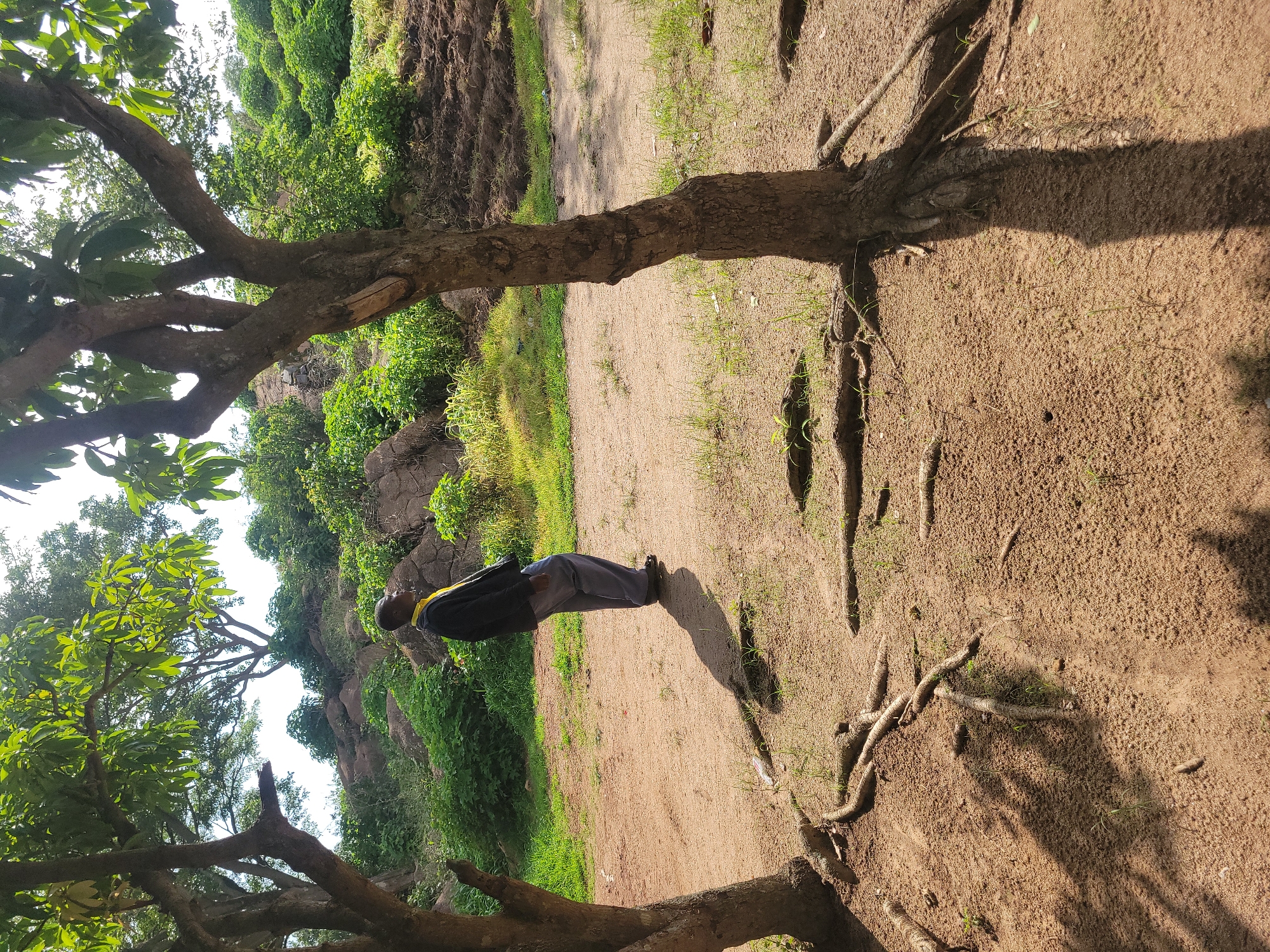 A full-shot, eye-level, outdoor photograph shows a Black man from the chest up, standing and looking to the left, with his left shoulder towards the camera. He is wearing a dark long-sleeved jacket and light grey trousers. He has a yellow scarf around his neck. The man is standing on sandy ground with exposed tree roots in the foreground. Two trees are visible, one on the left and one on the right side of the frame, casting shadows on the ground. Behind the man, the ground slopes upwards, covered in green vegetation and rocks. The sky is visible in the upper portion of the frame and is bright white, suggesting a sunny day. The location appears to be a natural, undeveloped area, possibly a park or a rural setting, in the city of Unknown, Unknown.