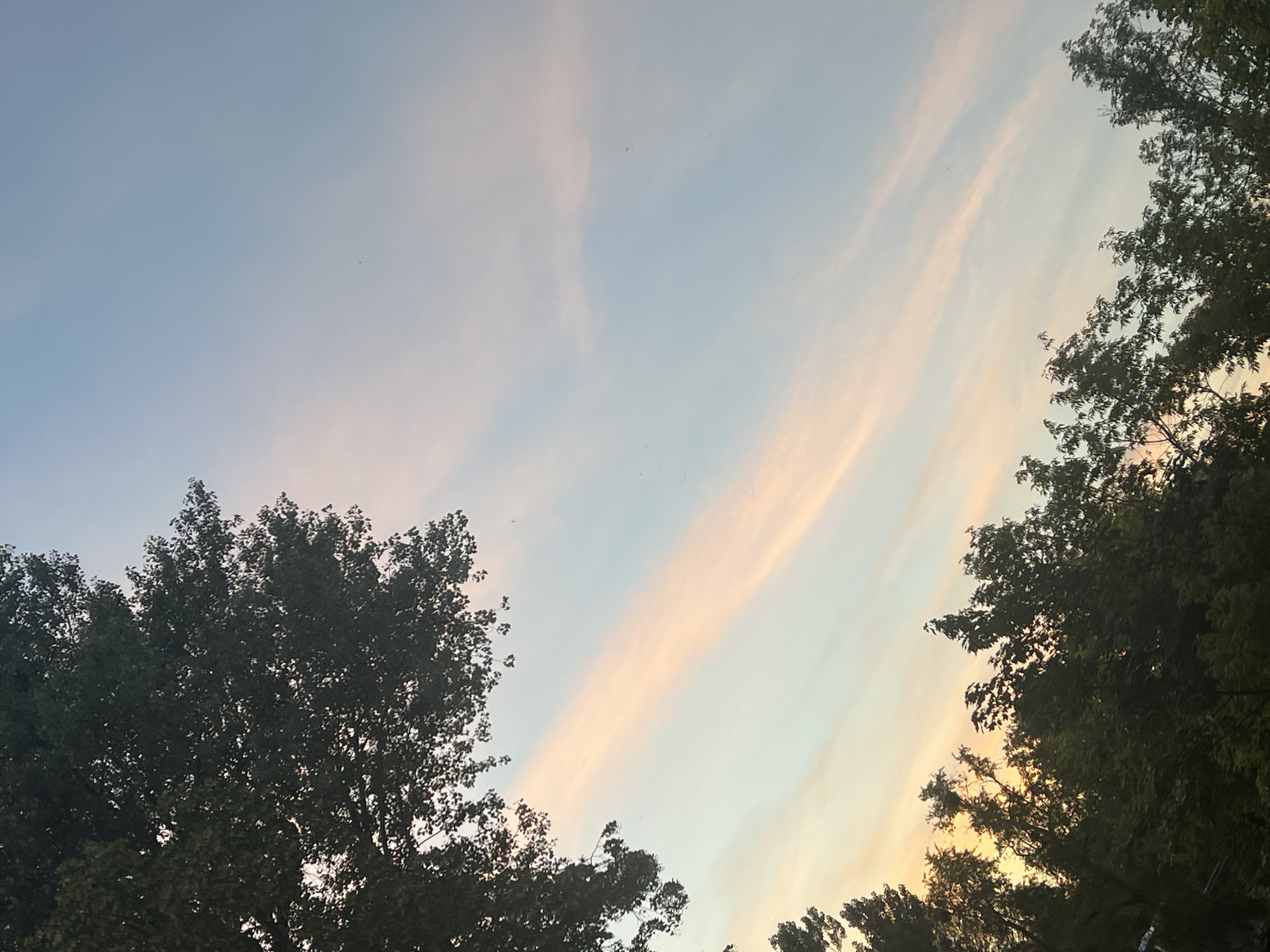 The image shows a clear sky with wispy clouds tinged with orange and pink hues, indicative of a sunset or sunrise. The top left and bottom edges of the frame are lined with the dark silhouettes of trees, their leaves dense and obscuring the ground. The sky transitions from a pale blue at the top to a warmer, yellowish tone near the horizon line formed by the tree line. There are no people, structures, or other discernible objects visible in the image, besides the natural elements of trees and sky. The image's composition is dominated by the sky and the tree line, suggesting an outdoor setting, possibly a park or an area with significant tree cover on the outskirts of a city. The specific location in Warsaw, Poland, cannot be determined from the visual information provided in the image.