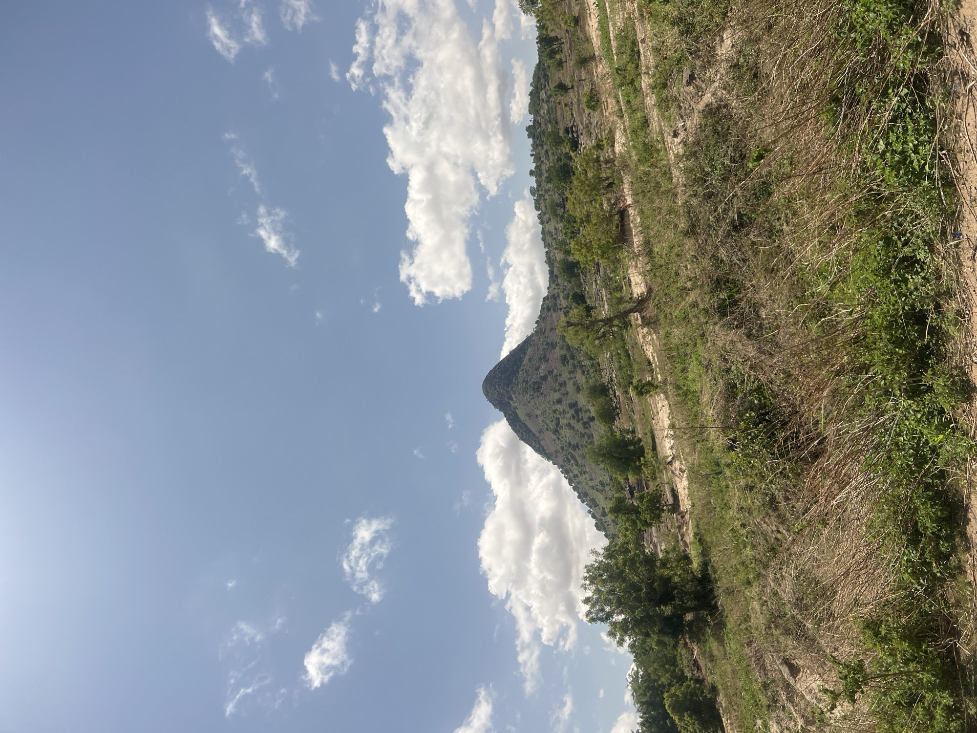 The image captures a sunlit rural landscape in Balanga, Nigeria. The upper approximately 45% of the frame features a clear, light-blue sky with scattered white cumulus clouds. A prominent, verdant, cone-shaped mountain dominates the upper-middle left portion of the scene, its peak sharply defined against the sky. The mid-ground and background consist of rolling hills, sparsely covered with green trees, shrubs, and patches of dry, light-brown vegetation, interspersed with areas of exposed reddish-brown soil and rocky outcrops. In the lower-middle section, slightly left of the image's vertical center, a small, indistinct reddish object or figure is visible within the sloping terrain's vegetation. The foreground is composed of a sloping embankment densely covered with a mix of green leafy plants, dry straw-like grasses, and various shrubs, with patches of bare, lighter-colored earth visible underneath. The scene is illuminated by direct sunlight, indicating daytime conditions.
