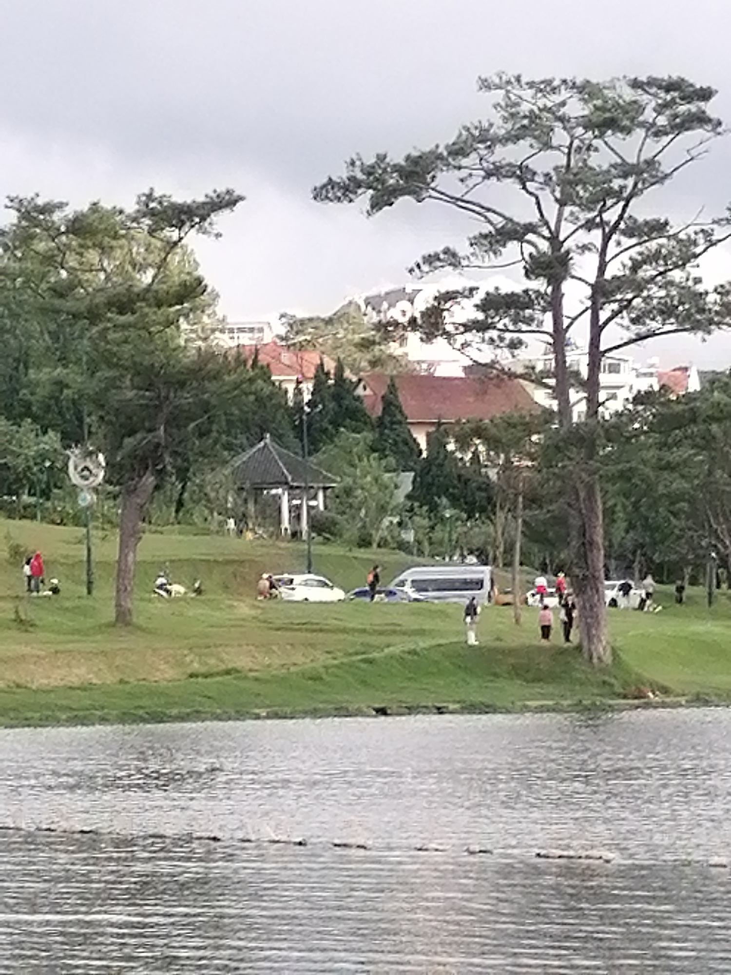In Lâm Viên - Đà Lạt, Vietnam, a cloudy day is depicted with a lake in the foreground. The middle ground features a grassy slope with several people scattered across it, some sitting and some standing. A white van is parked on the grass, along with a white sedan. A small, ornate gazebo with a dark roof and white pillars stands on the slope. Tall pine trees with dark green needles are prominent on the slope and in the background. In the distance, buildings with terracotta roofs are visible amongst more trees. A large, old pine tree with a thick trunk and spreading branches is situated on the right side of the frame.