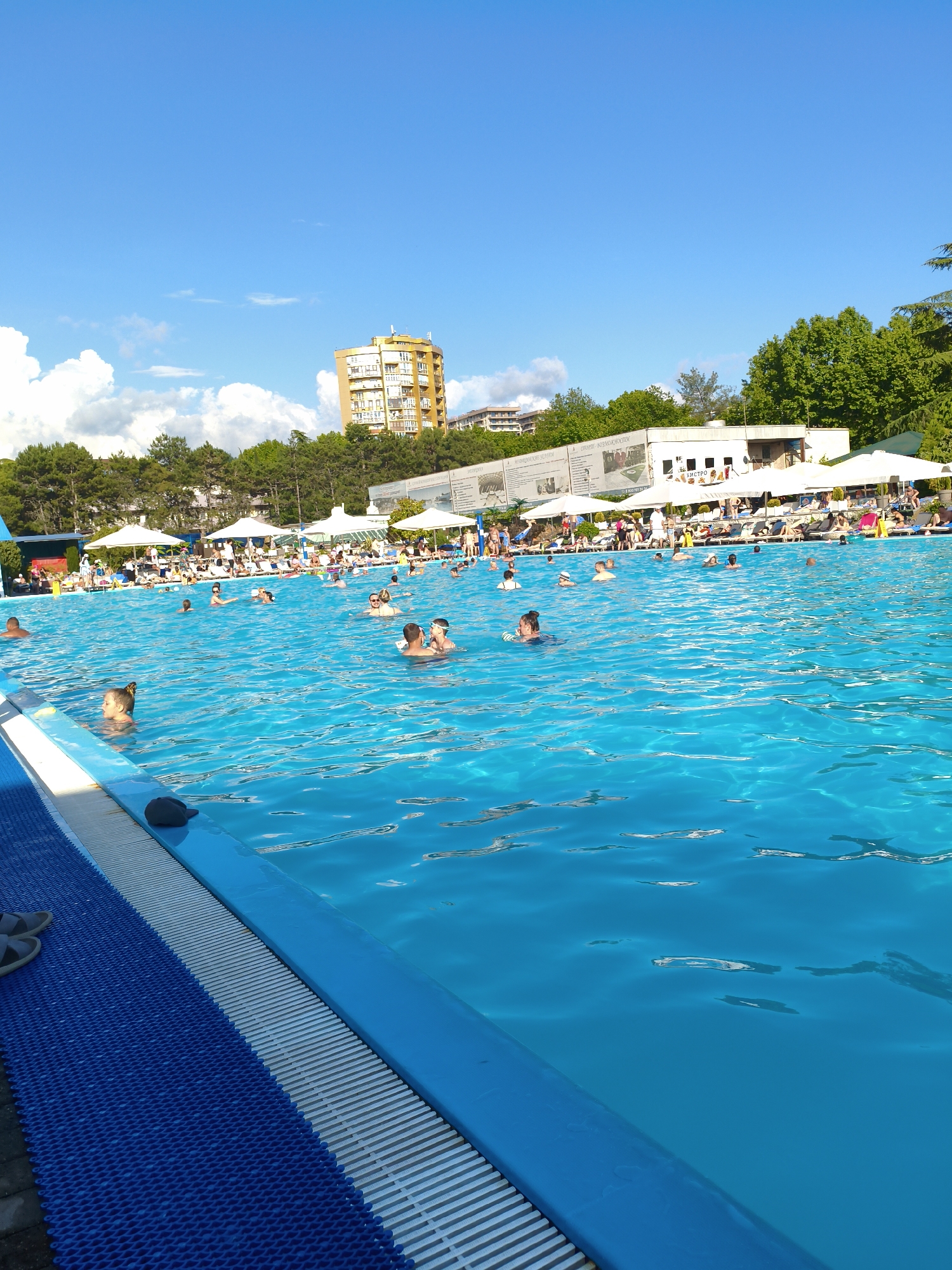 The image shows a large outdoor swimming pool filled with bright blue water. Numerous people are swimming and relaxing in the pool. Several white umbrellas and lounge chairs are set up around the pool, indicating a recreational area. In the background, there are trees, buildings, and a clear blue sky with some clouds. The presence of umbrellas and lounge chairs suggests this is a resort or a public leisure facility. Given the context of a city named Sochi, Russia, known for its Black Sea coast and resort amenities, this scene is likely from a hotel, a water park, or a beach club in Sochi. The overall atmosphere is one of a warm, sunny day with people enjoying a summer activity.
