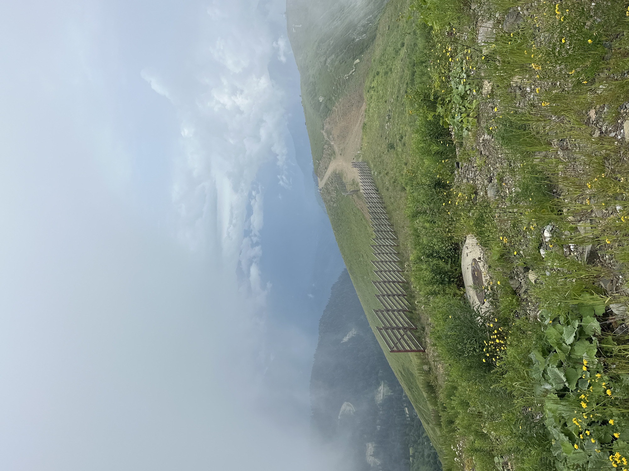 This image depicts a scenic mountain landscape in the vicinity of Estosadok, Russia. The foreground is characterized by a rocky, uneven terrain covered with abundant green vegetation and small yellow wildflowers. A wooden fence runs along the side of a grassy slope, delineating a path. The path itself is visible, winding its way up the side of the mountain. In the background, rolling hills and mountains are partially obscured by thick, misty clouds, creating a dramatic and atmospheric effect. The overall scene conveys a sense of natural beauty and tranquility, with the weather contributing to a somewhat moody and ethereal atmosphere. No people are present in the image.